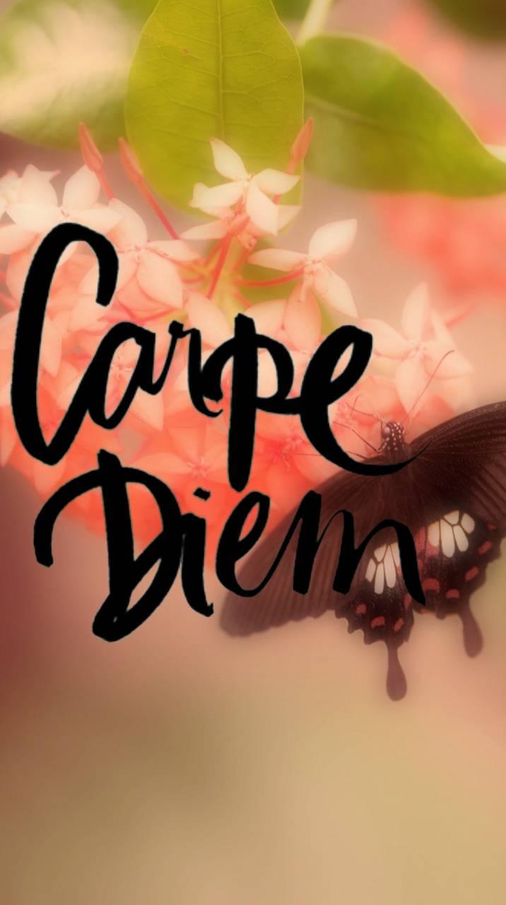 Carpe Diem Android Wallpapers Wallpaper Cave