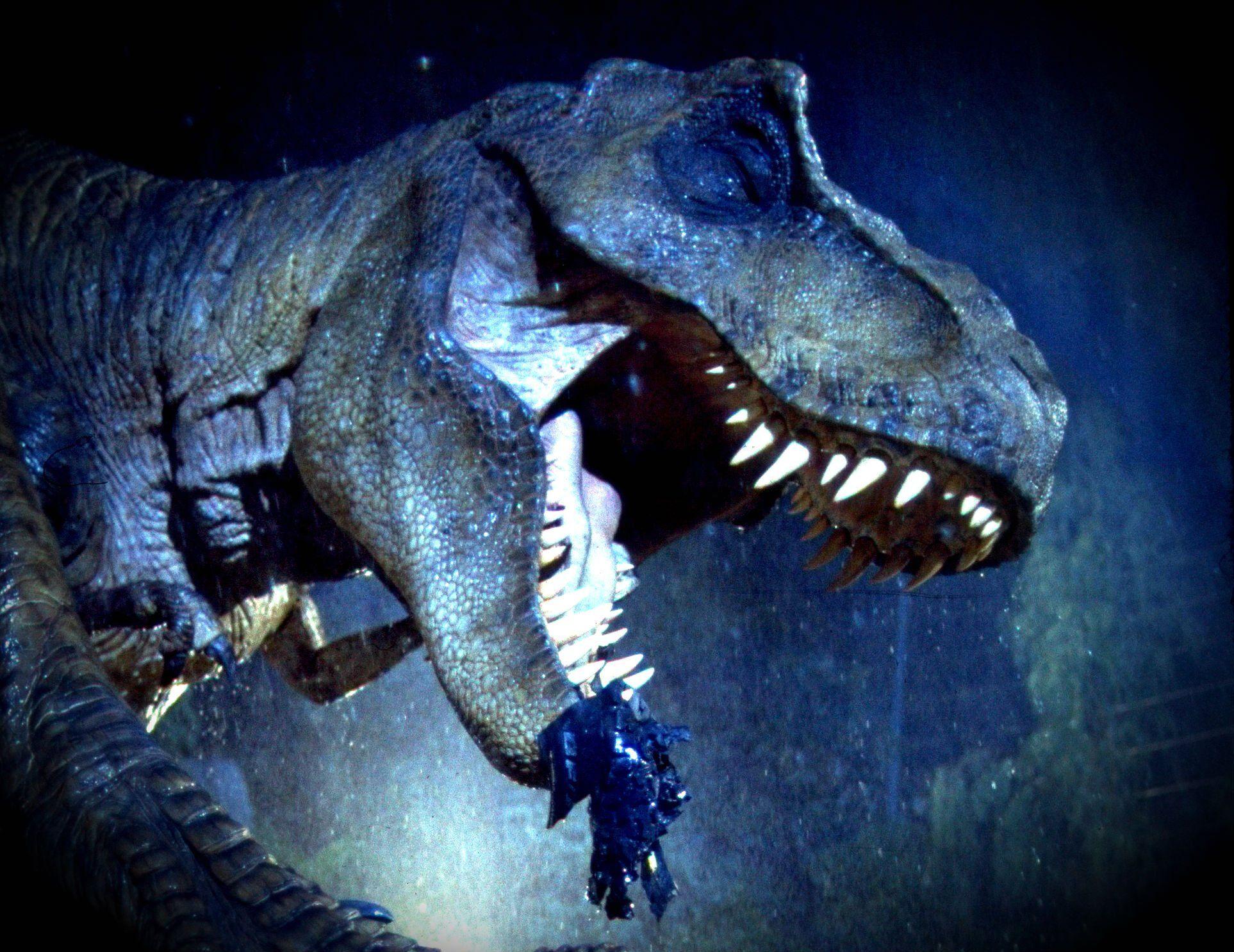 Velociraptor Blue Wallpapers Wallpaper Cave