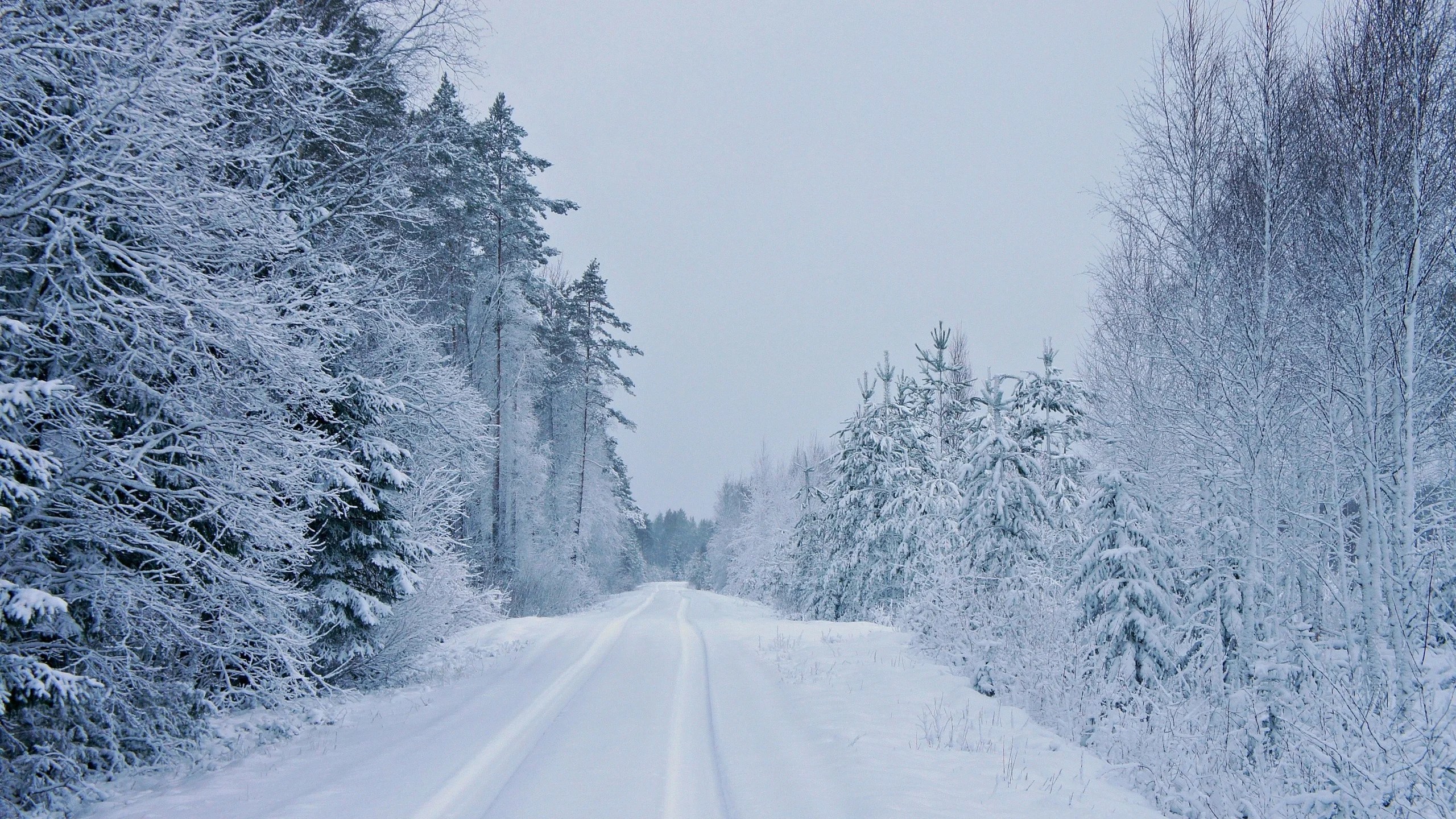 Country Road Winter Wallpapers Wallpaper Cave