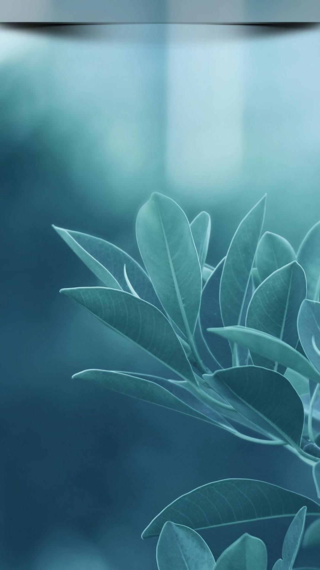 HD Beautiful Mobile Wallpapers Wallpaper Cave