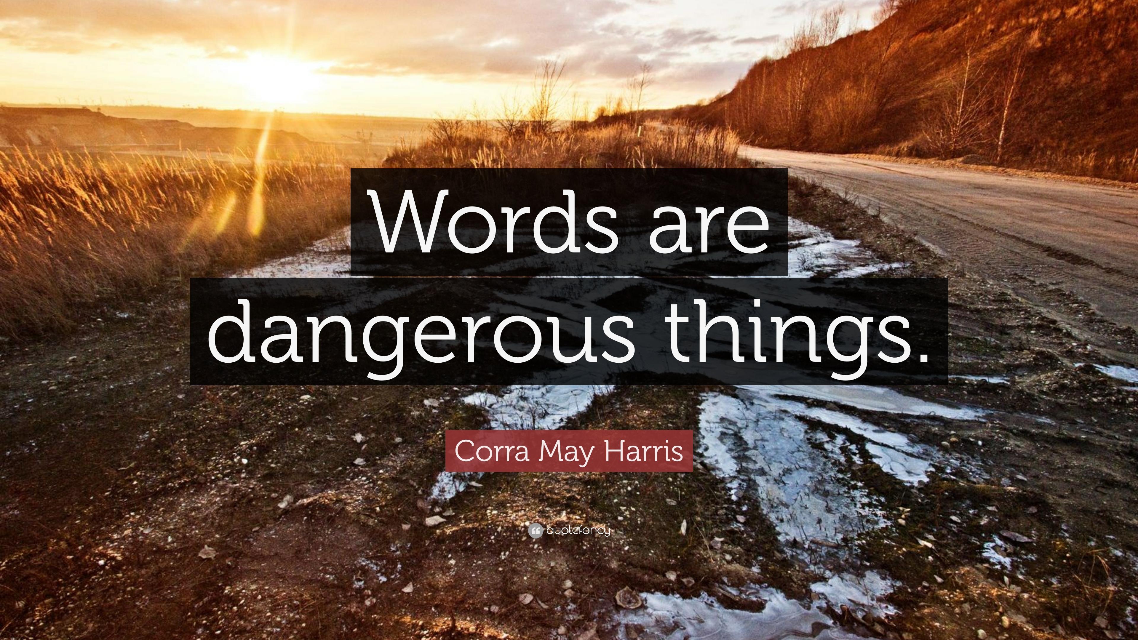 What Is A Better Word For Dangerous at James Kern blog