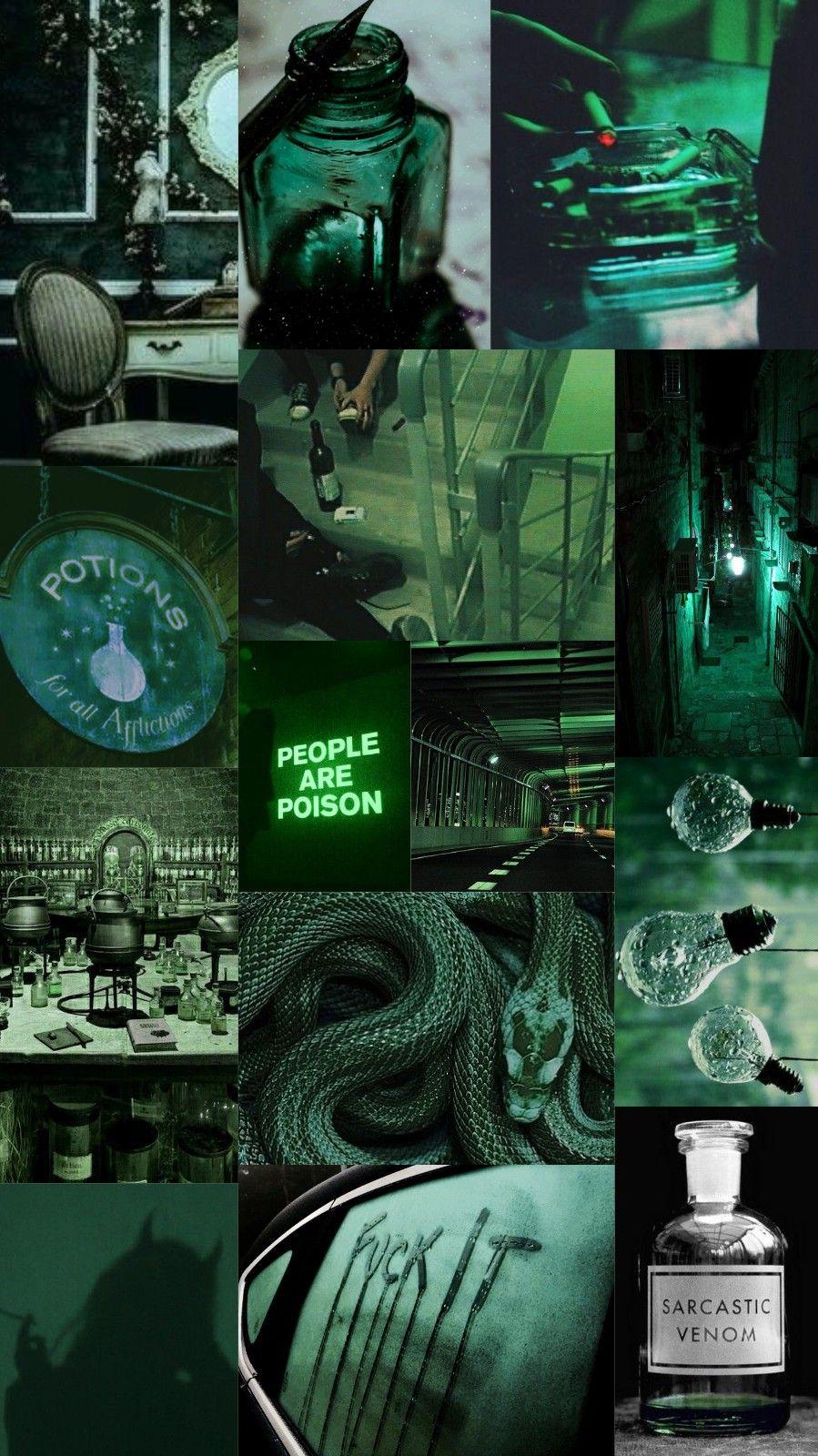 Sage Green Aesthetic Pictures Collage