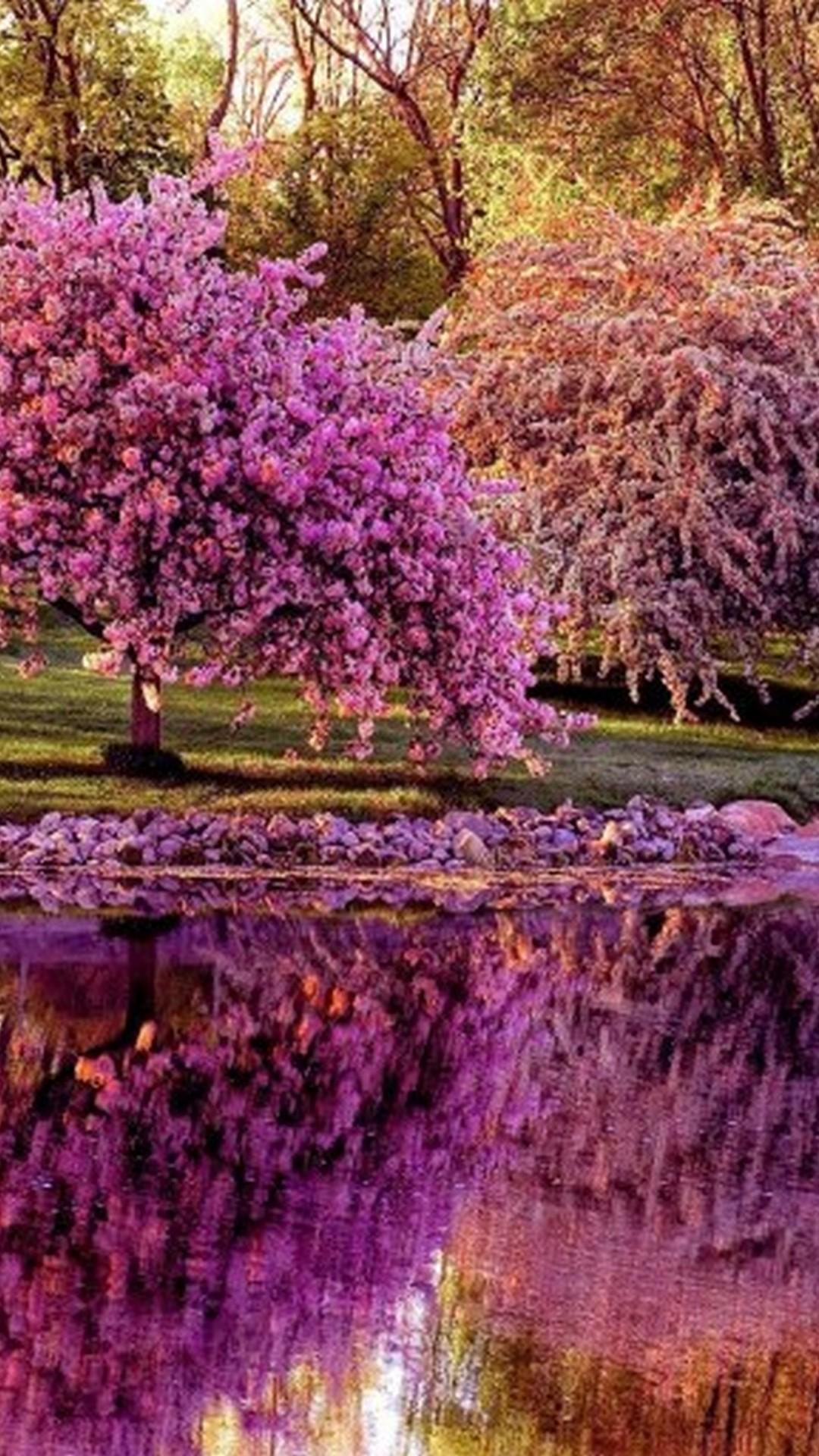 Nature Android HD Wallpapers Wallpaper Cave