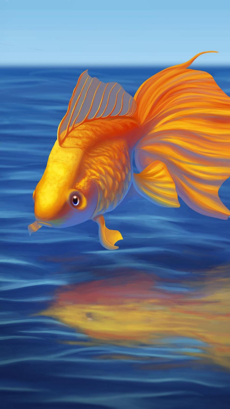 Goldfish iPhone Wallpapers Wallpaper Cave