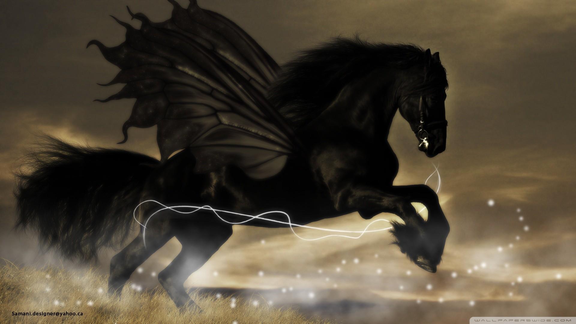 Computer Horse HD Wallpapers Wallpaper Cave