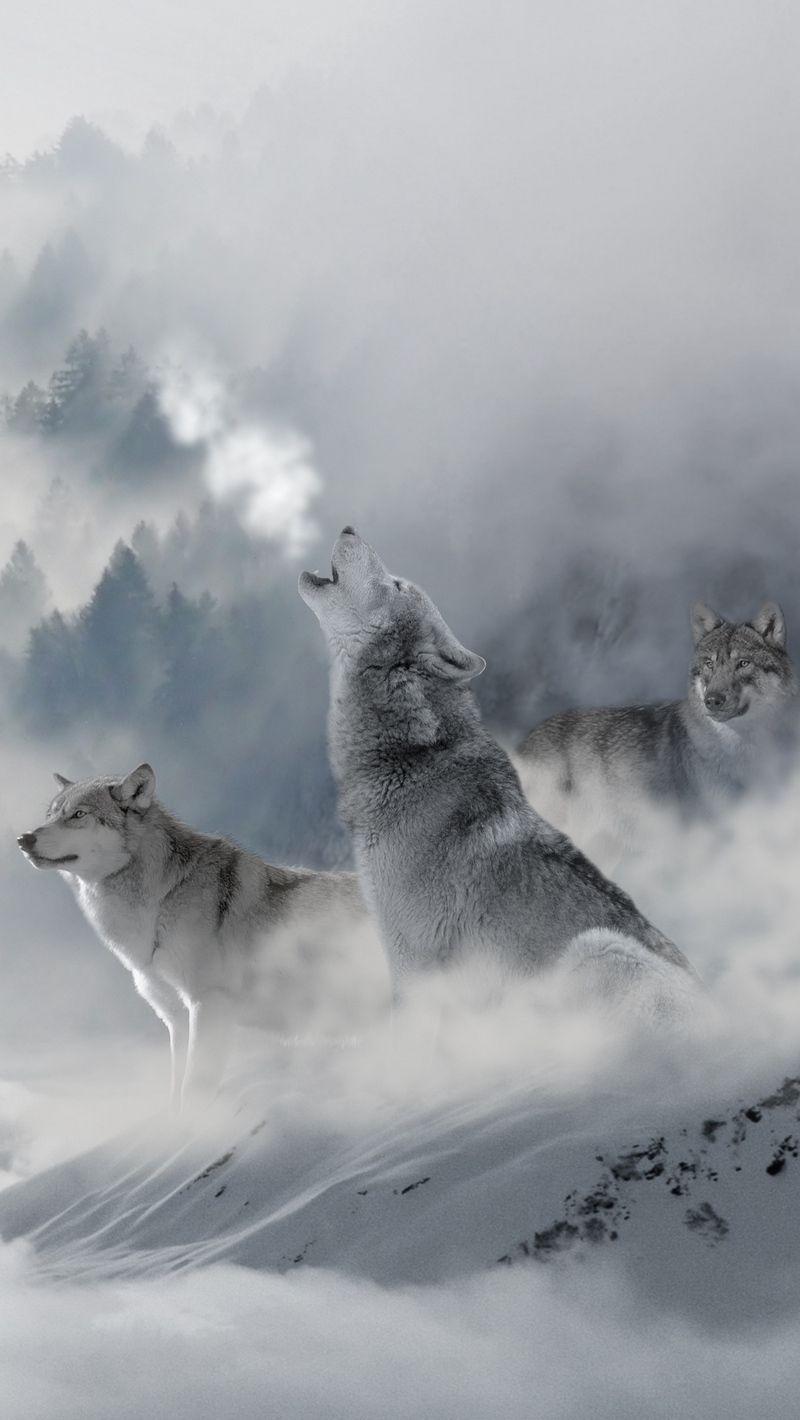 Cool Wolves iPhone Wallpapers Wallpaper Cave