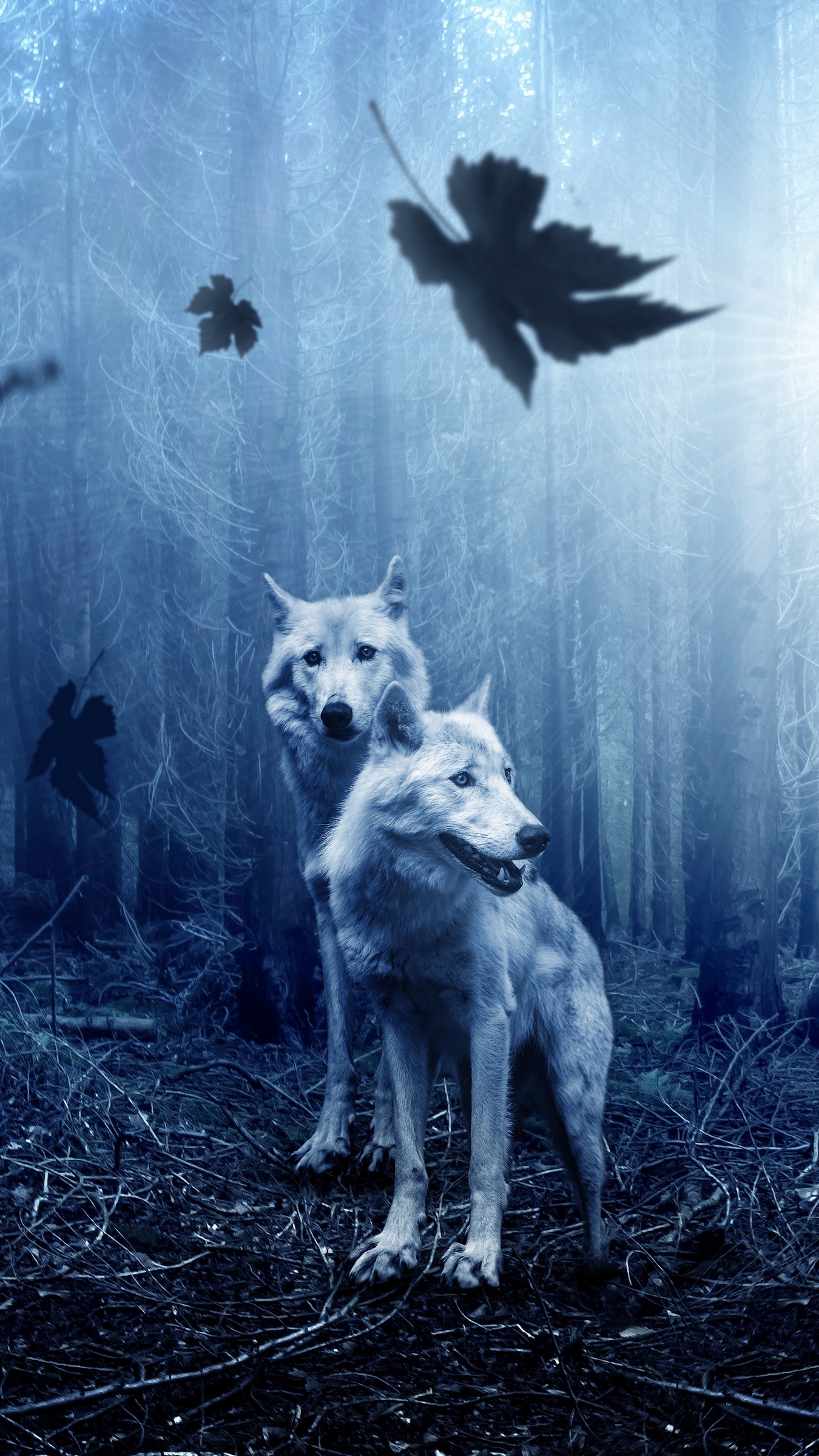 Cool Wolves iPhone Wallpapers Wallpaper Cave
