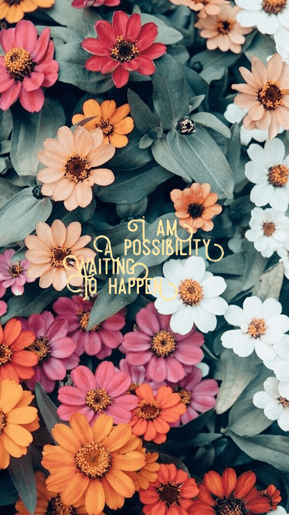 Beautiful Wallpapers Of Flowers With Quotes