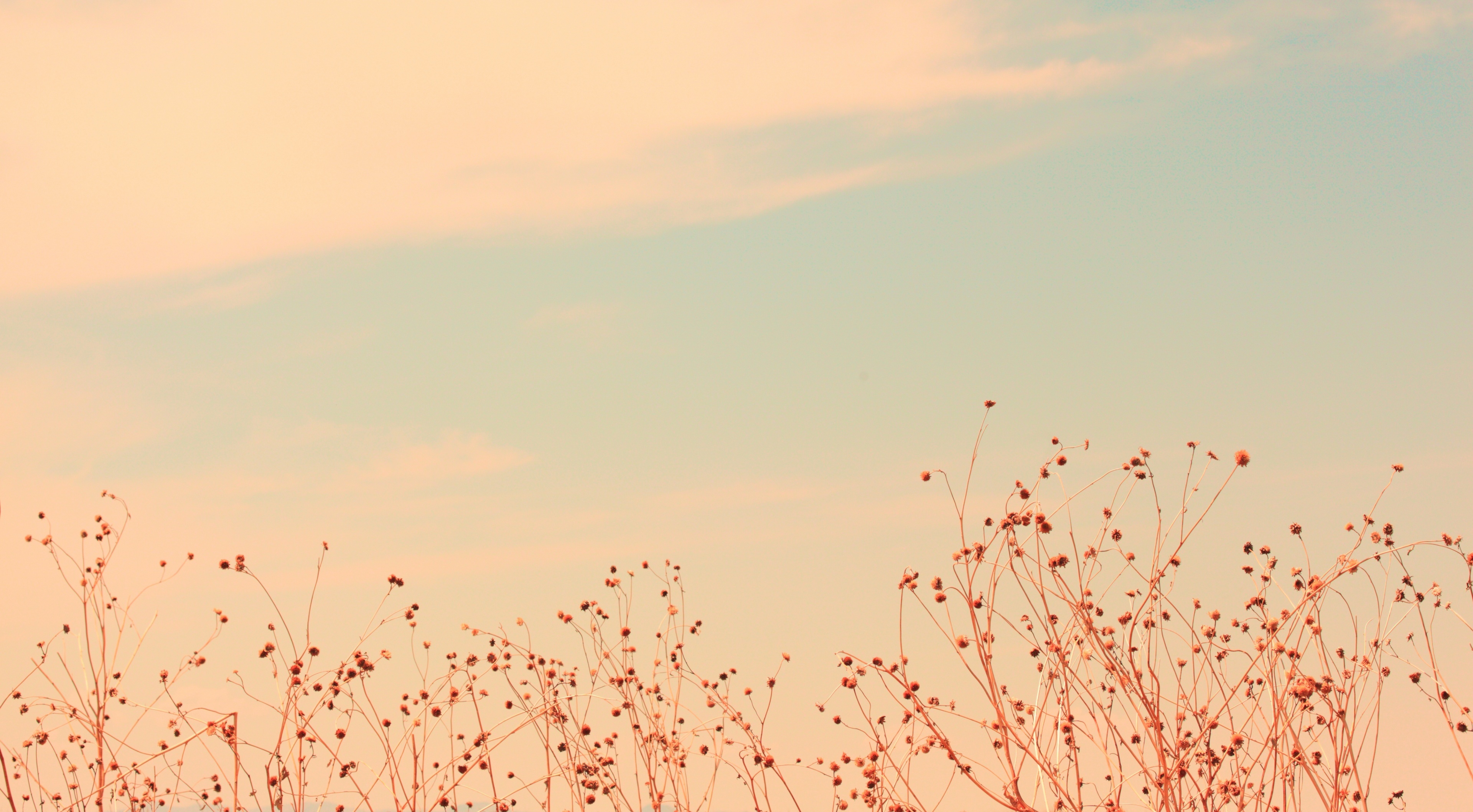 Warm Aesthetic PC Wallpapers Wallpaper Cave