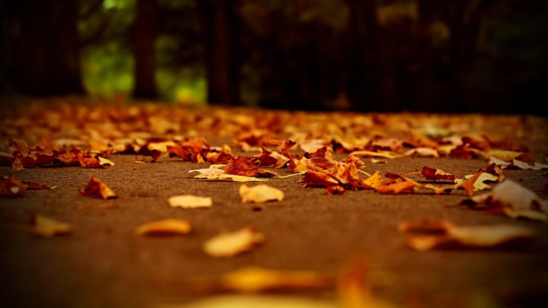 Aesthetic Brown Horizontal Wallpapers Wallpaper Cave