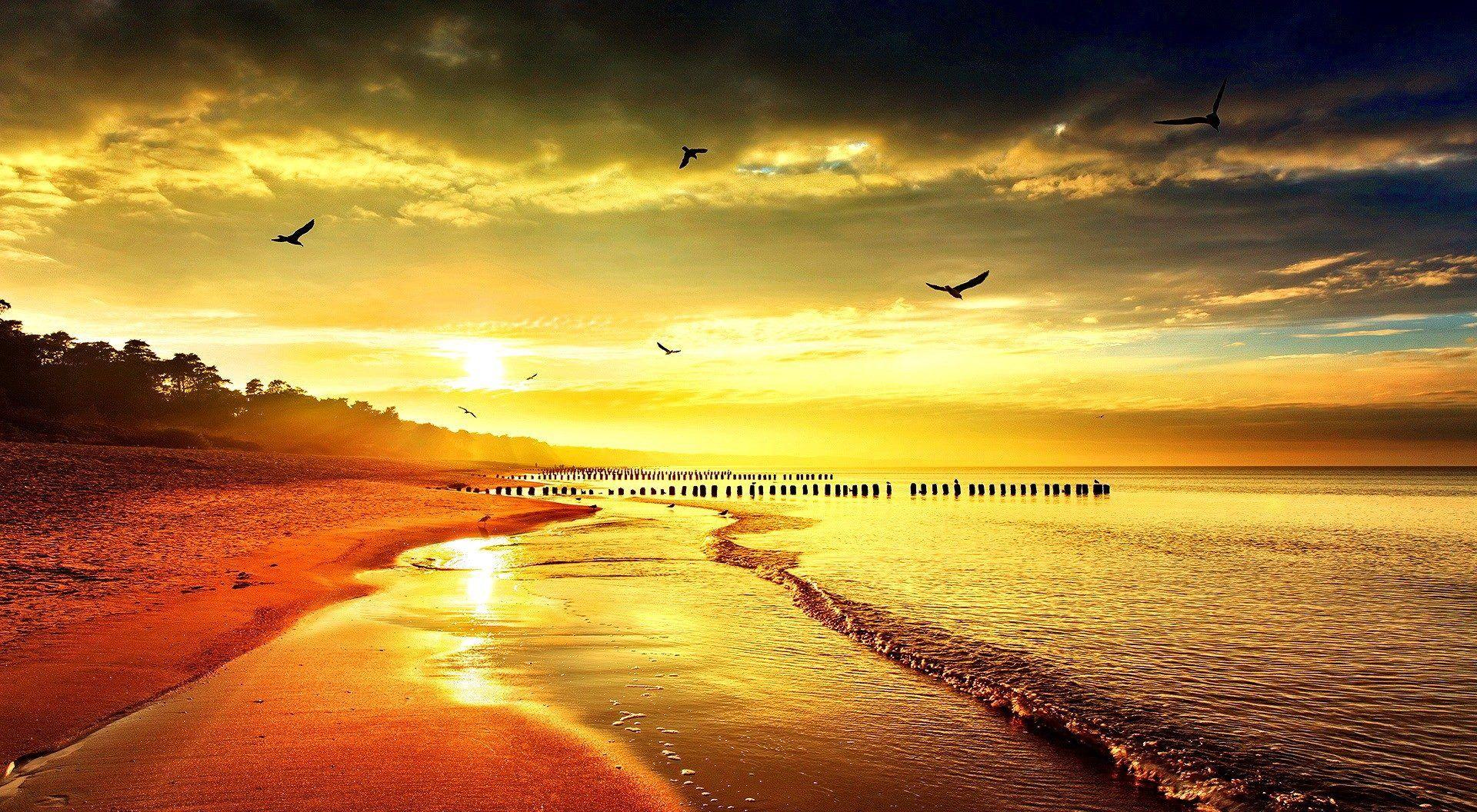 Golden Sky Wallpapers Wallpaper Cave