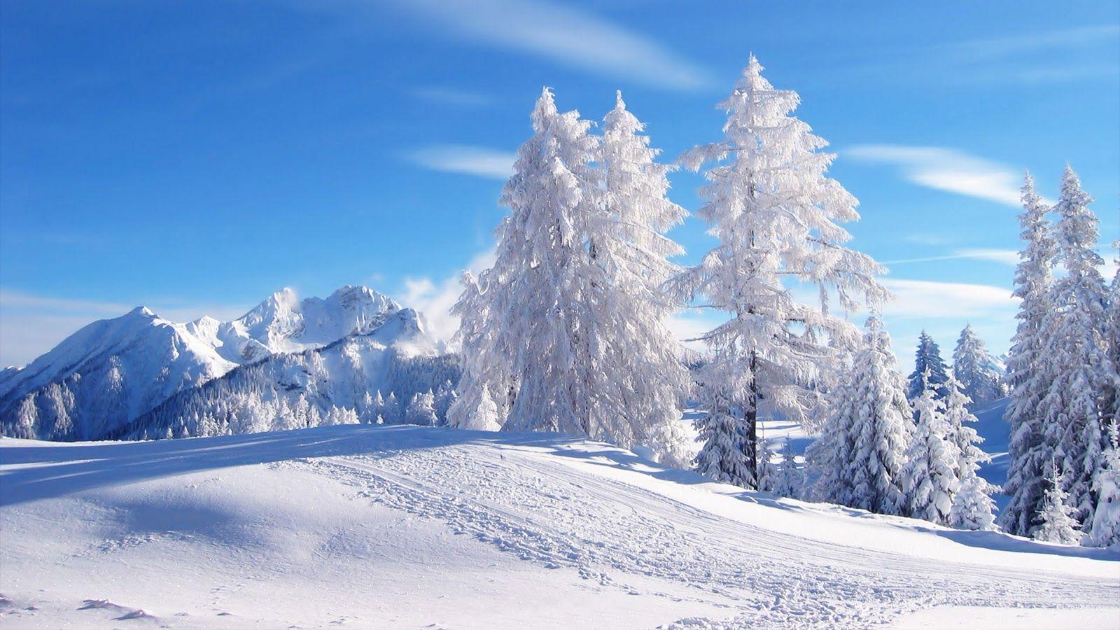 Winter Scenes Outside Wallpapers Wallpaper Cave