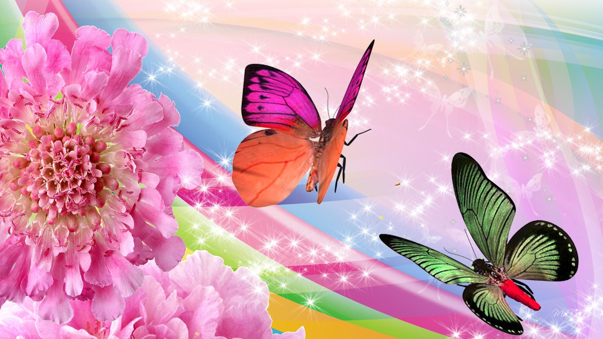 Rainbow Butterfly Wallpapers Wallpaper Cave