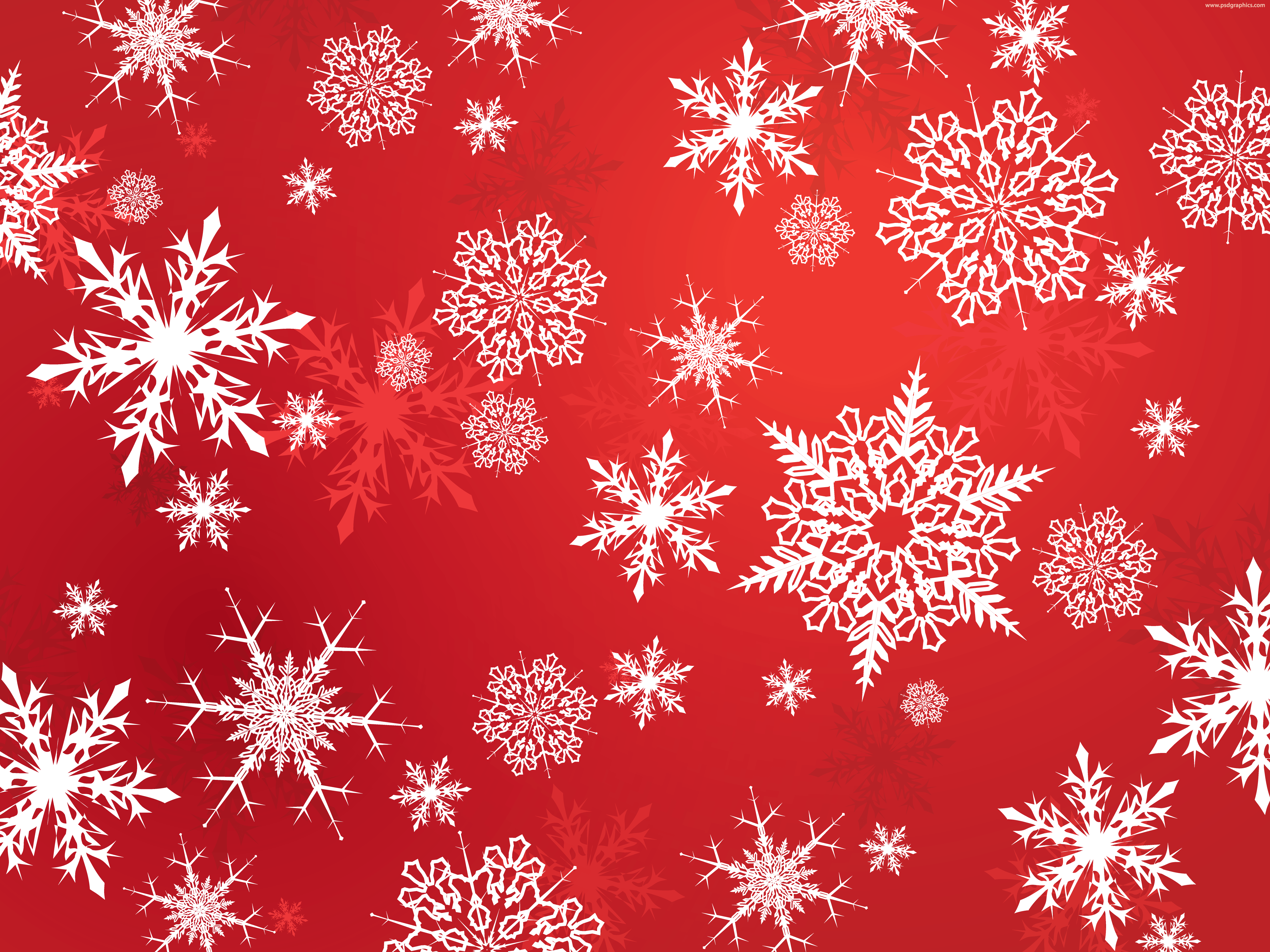 Holiday Berries And Snowflakes Wallpapers Wallpaper Cave