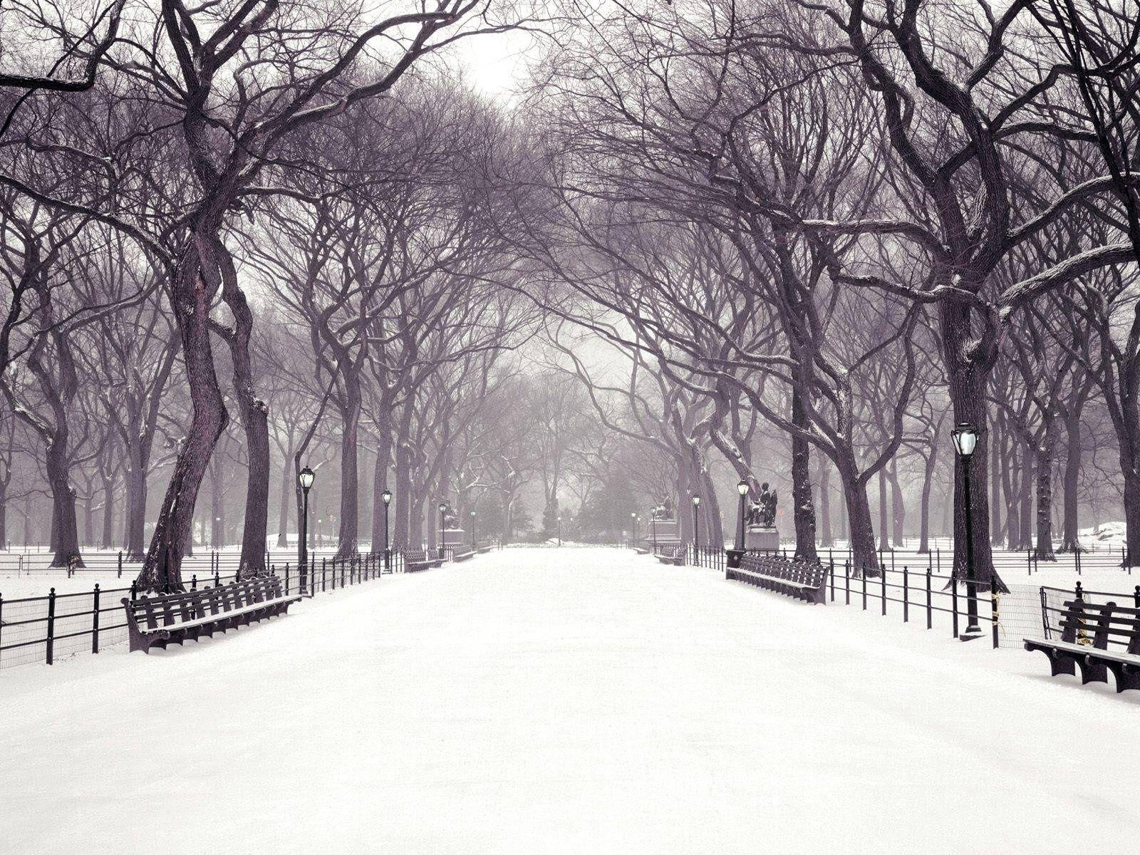 Central Park Winter Scenes Wallpapers Wallpaper Cave