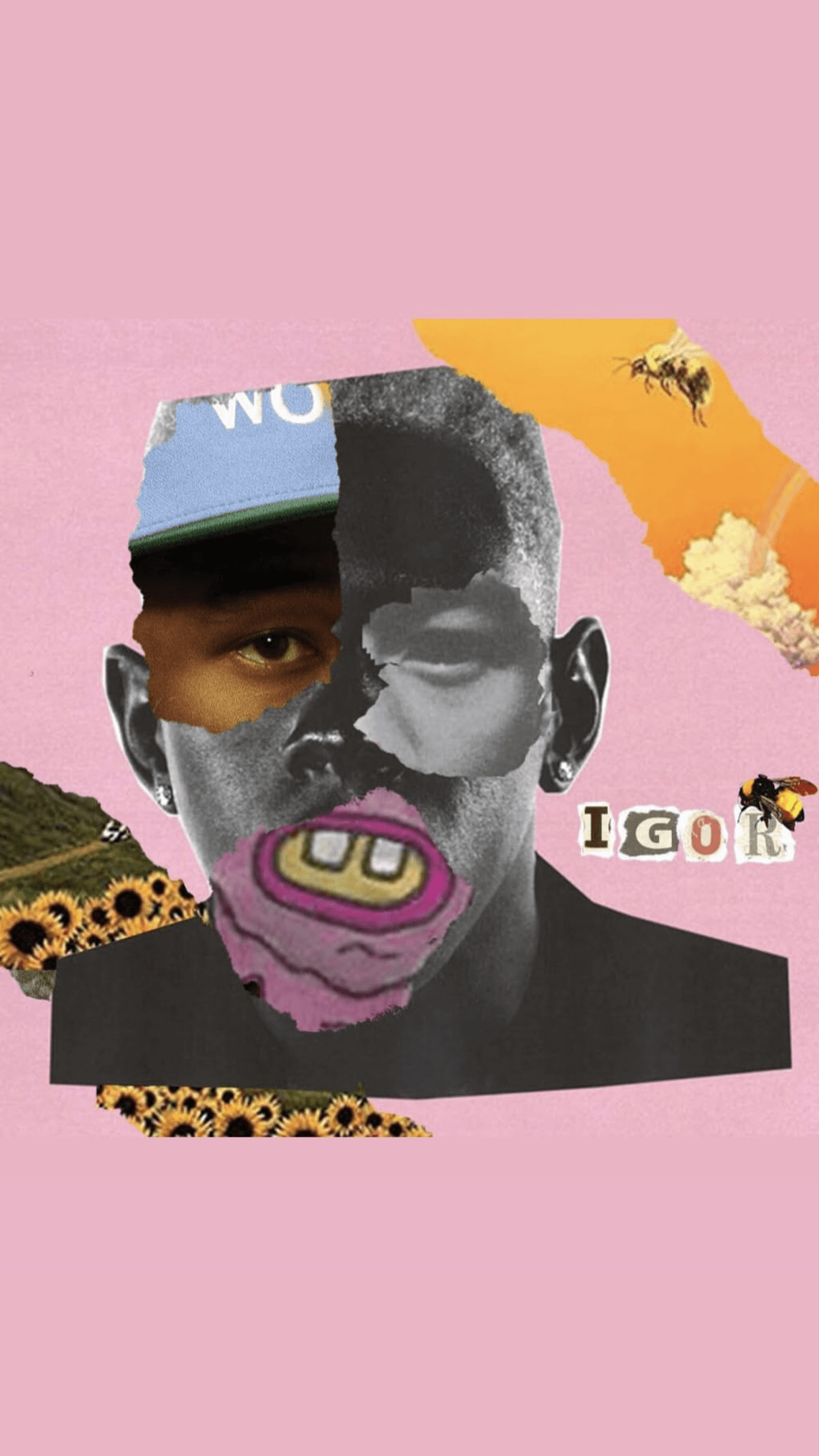 Aesthetic Tyler The Creator Wallpaper Tyler The Creator Wallpaper