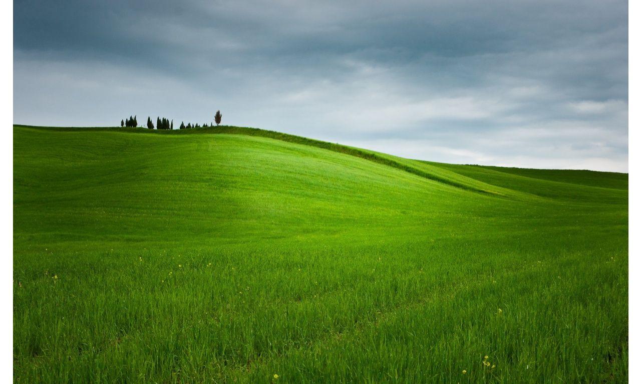 Green Rolling Hills Wallpapers Wallpaper Cave