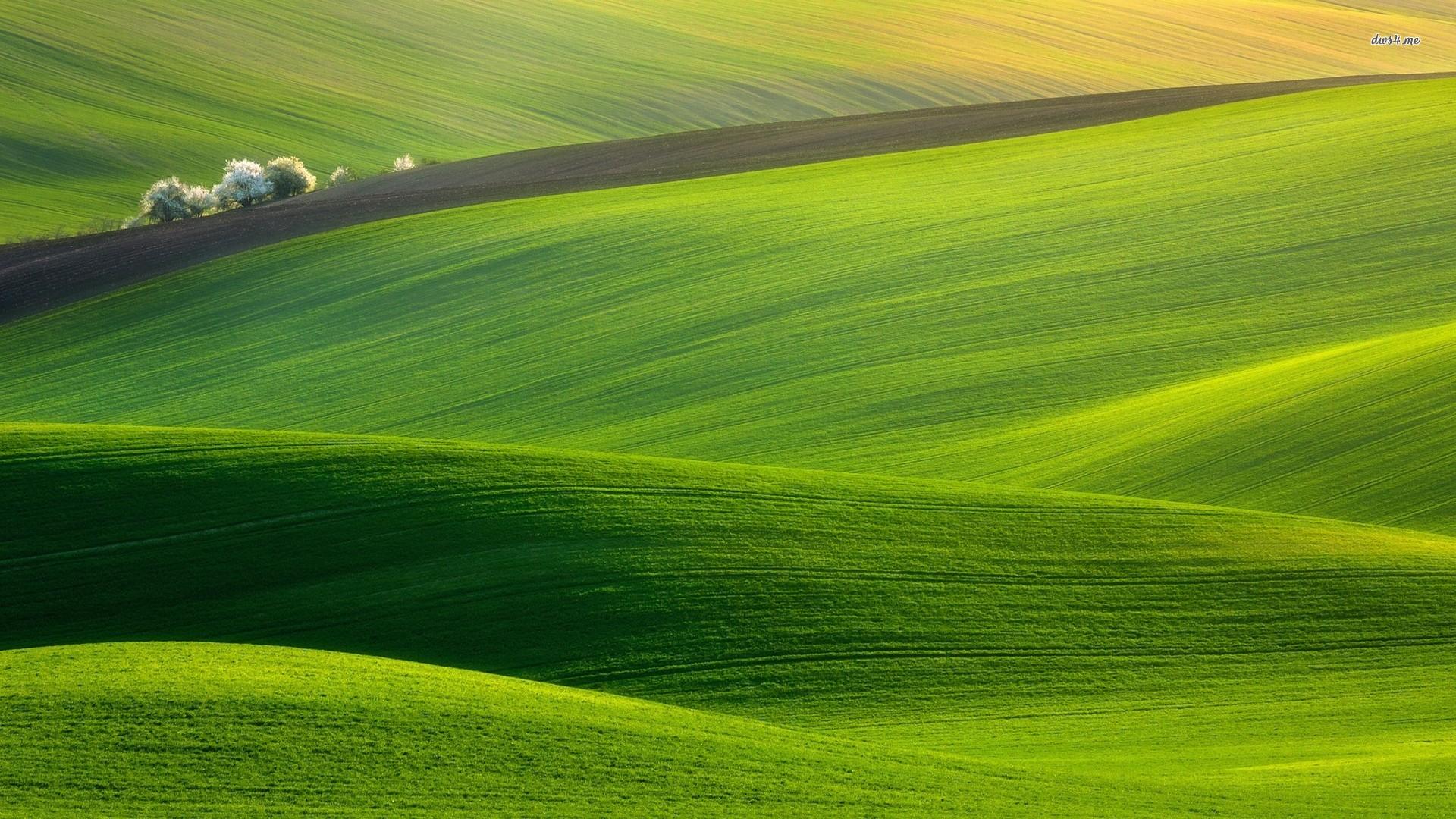 Green Rolling Hills Wallpapers Wallpaper Cave