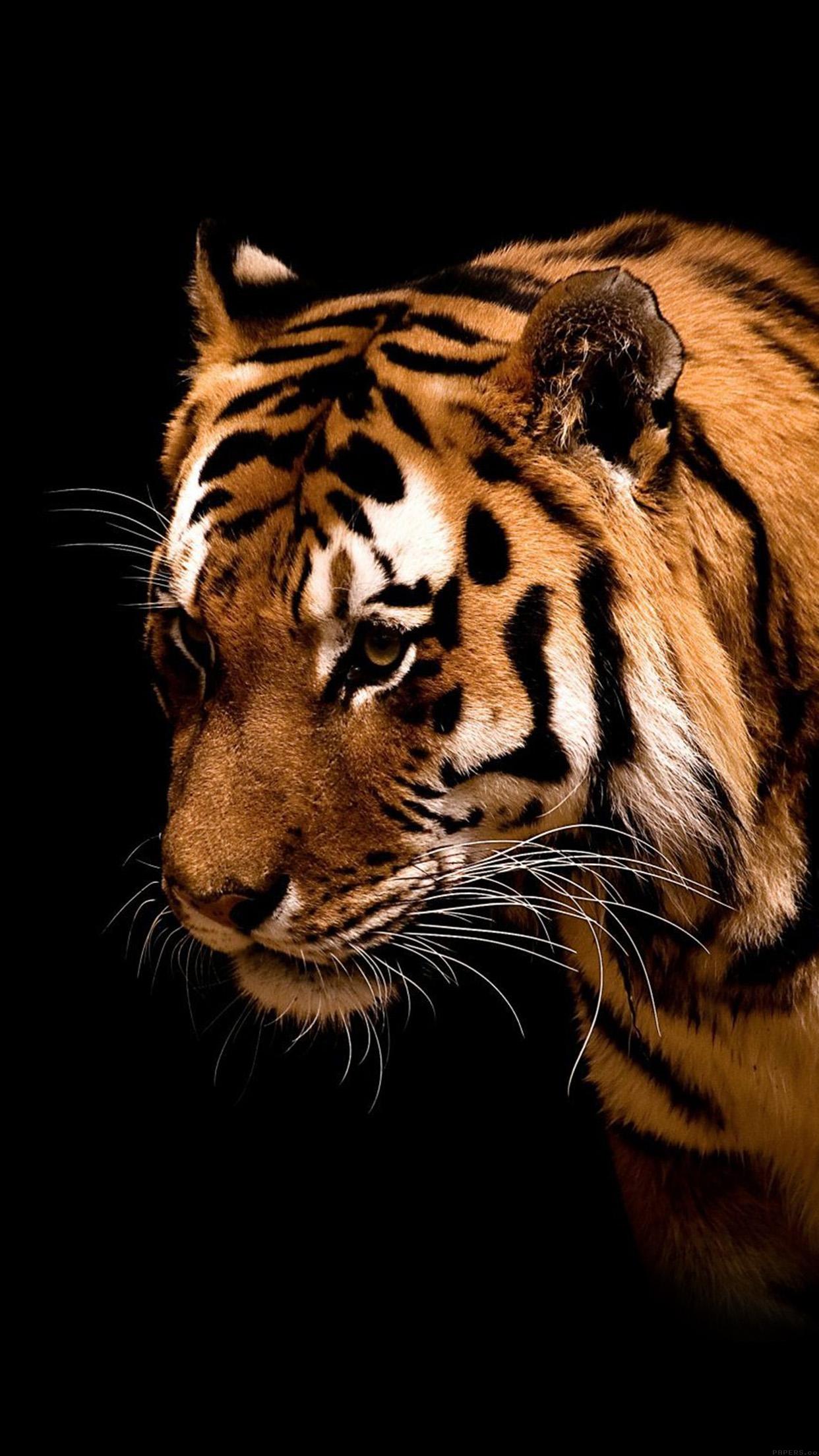 Android Tiger Wallpapers Wallpaper Cave
