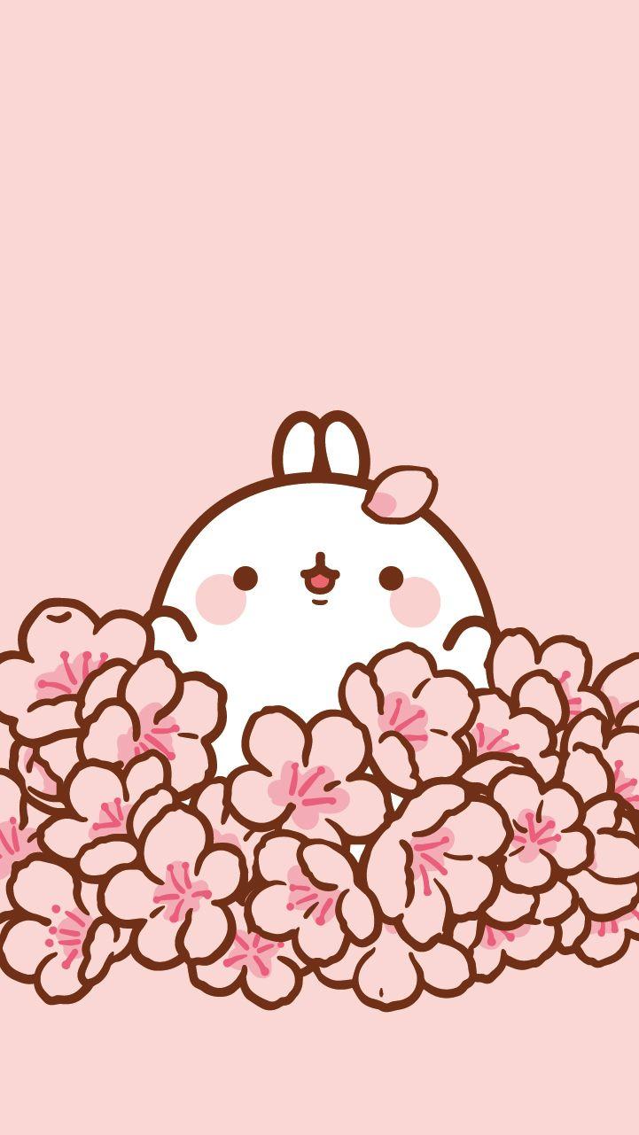 Molang Wallpaper Pink See more ideas about molang, molang wallpaper