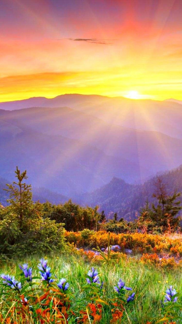 Morning Sunrise Wallpapers Wallpaper Cave