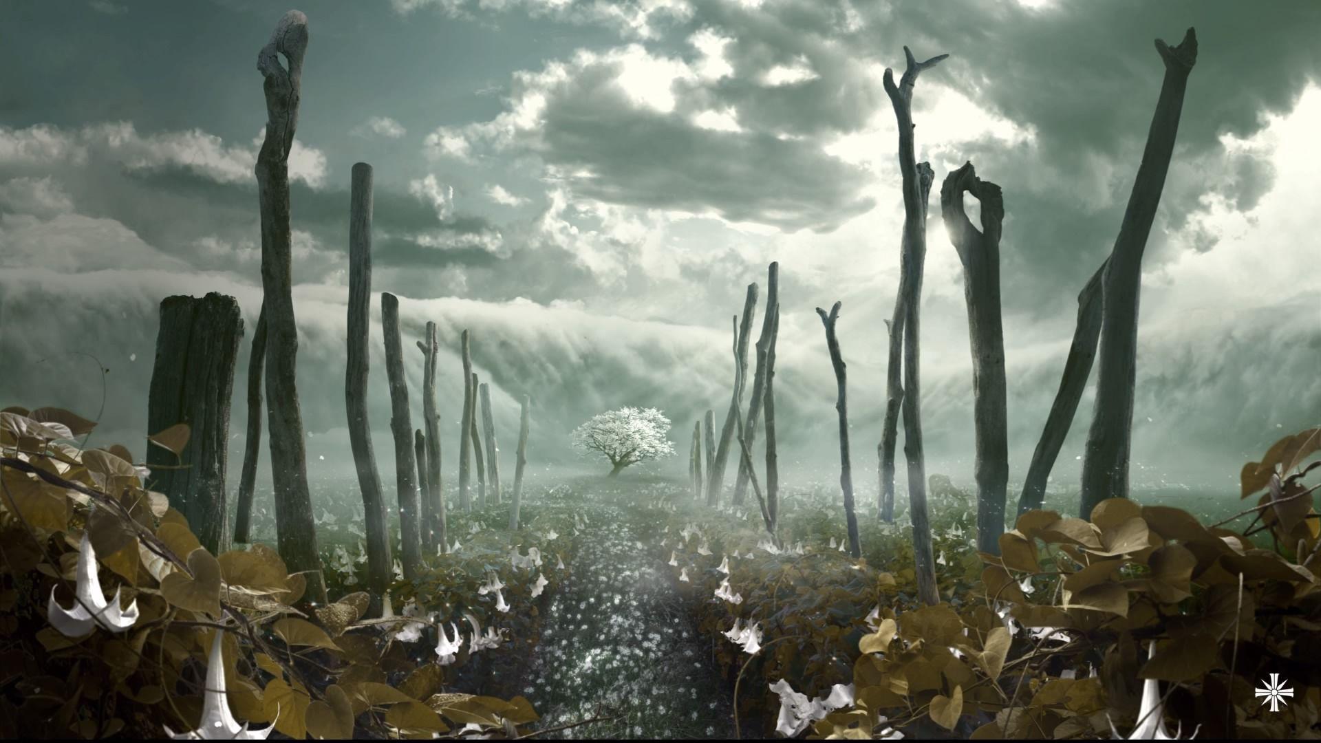 Faith Seed Wallpapers Wallpaper Cave