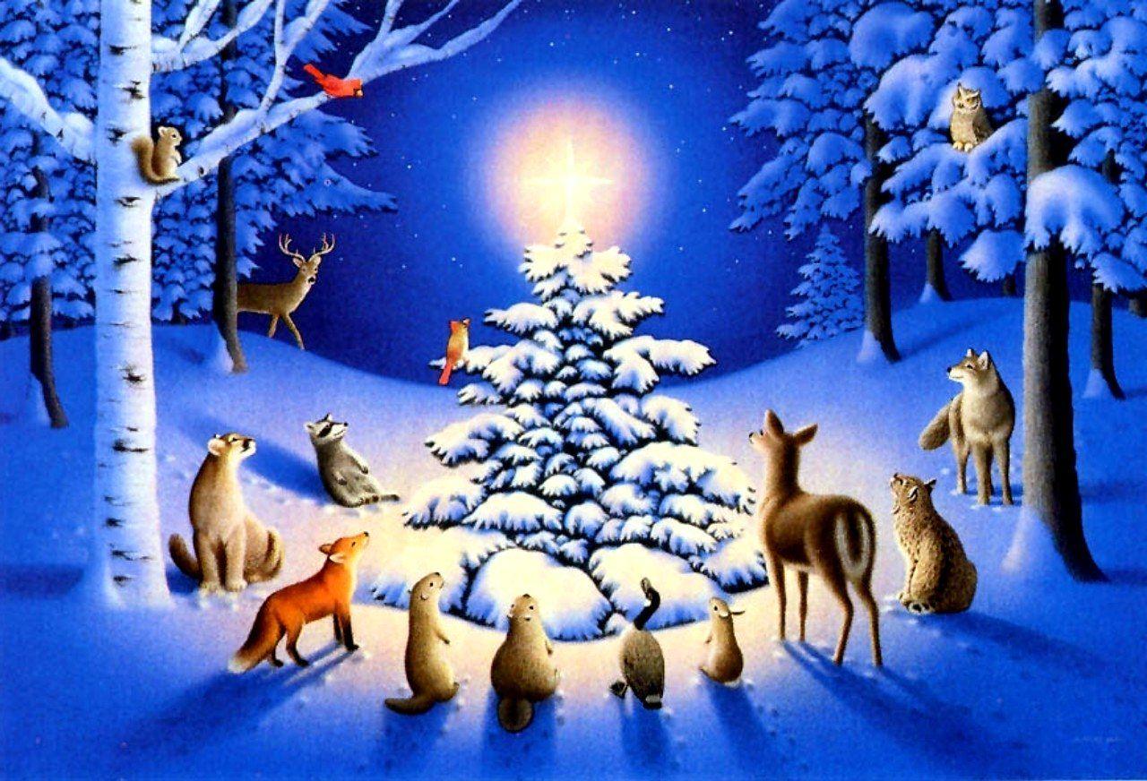 Christmas Night Woodland Wallpapers Wallpaper Cave