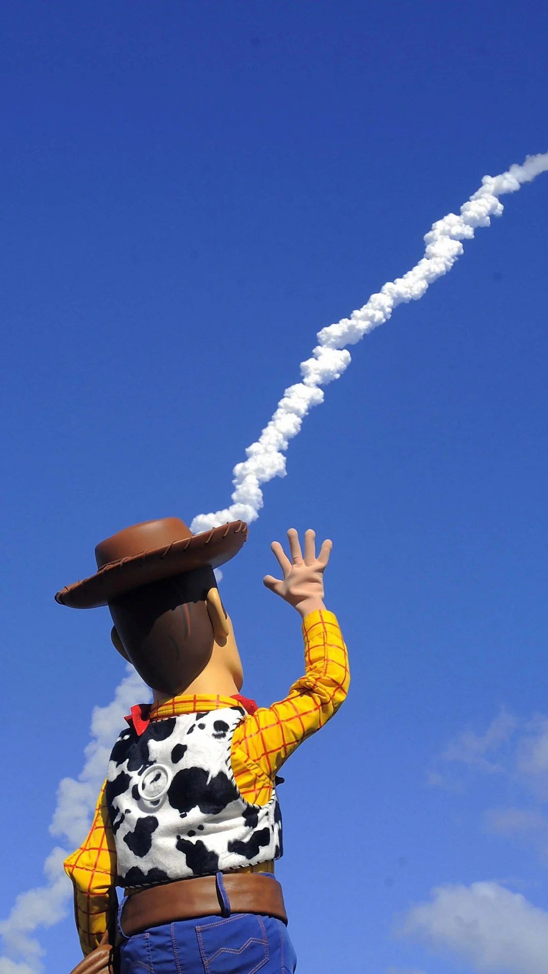 Woody iPhone Wallpapers Wallpaper Cave