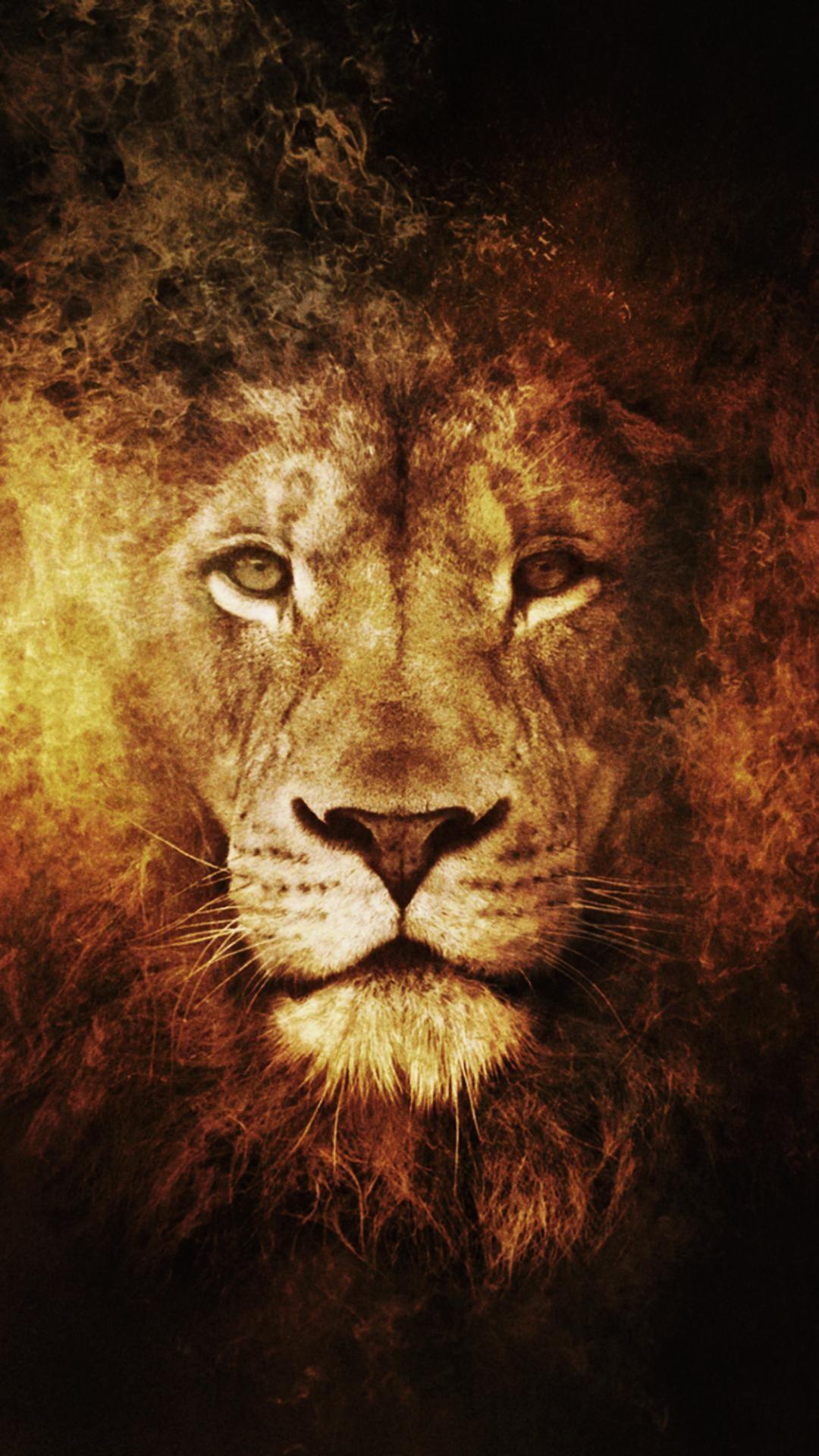 Black Lion iPhone Wallpapers Wallpaper Cave