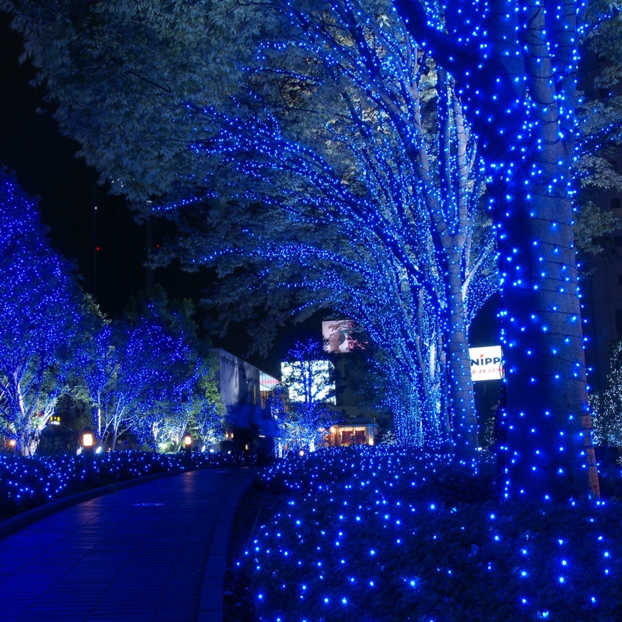 Christmas Lights iPad Wallpapers Wallpaper Cave