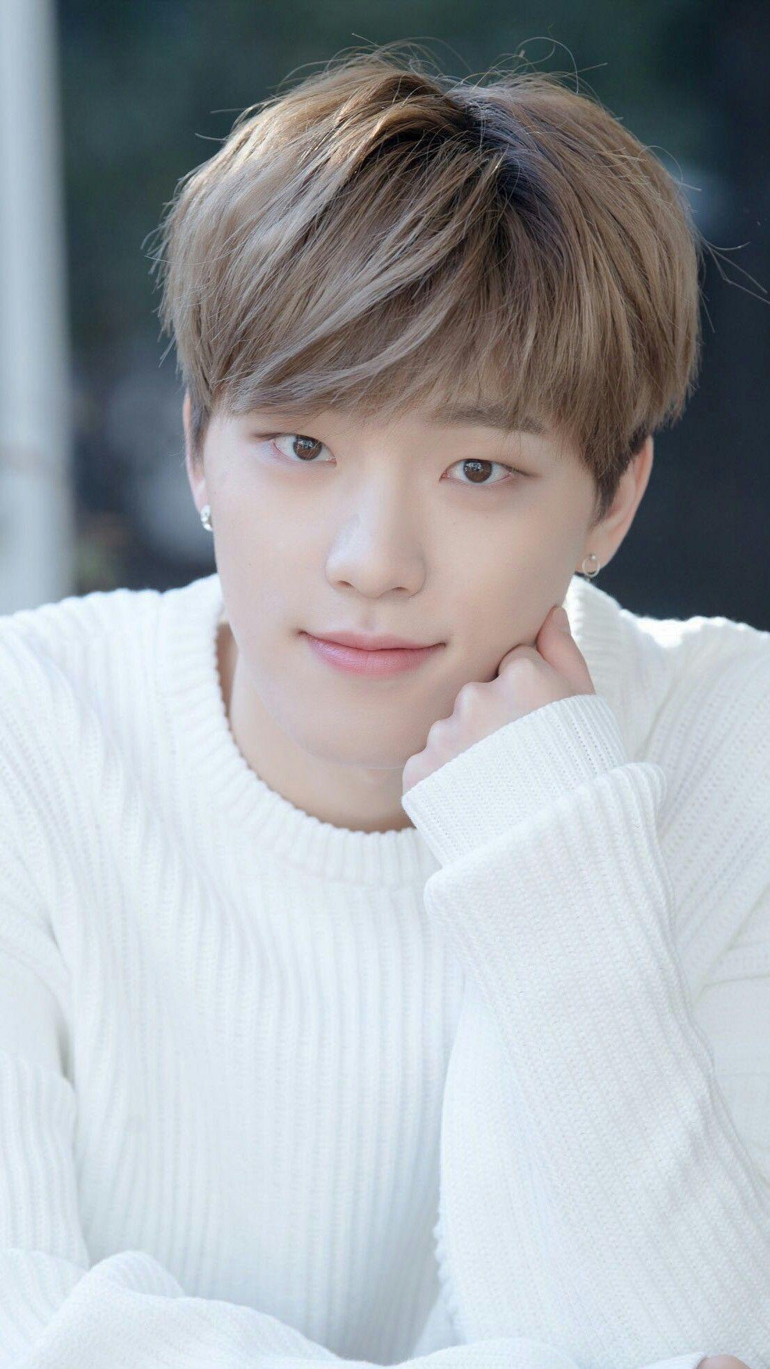 Dino Seventeen Wallpapers Wallpaper Cave