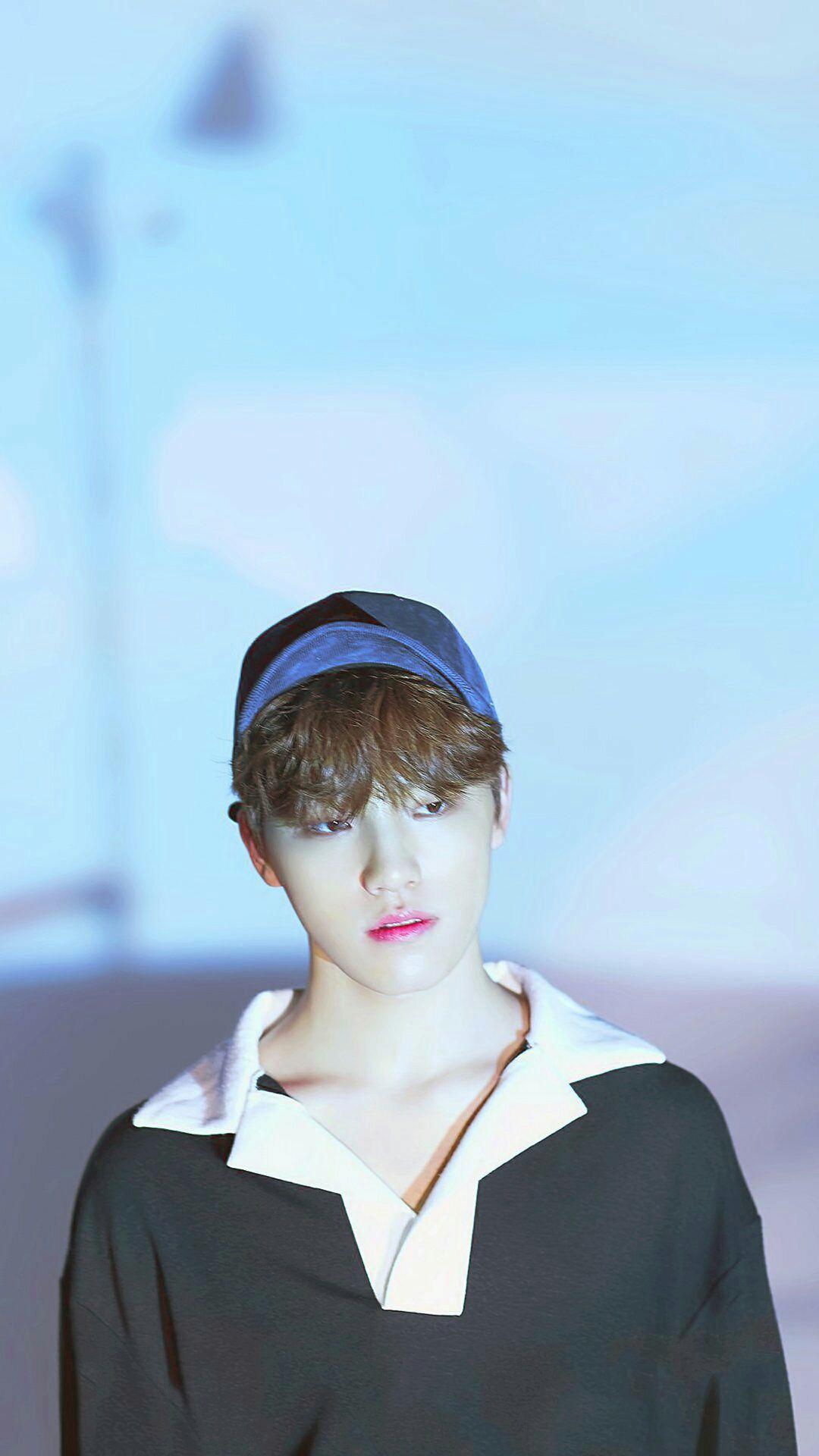 Dino Seventeen Wallpapers Wallpaper Cave