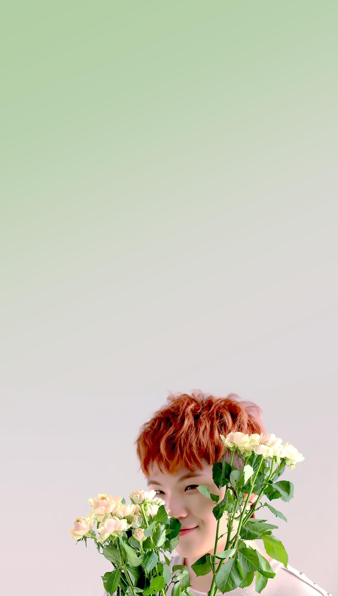 Dino Seventeen Wallpapers Wallpaper Cave