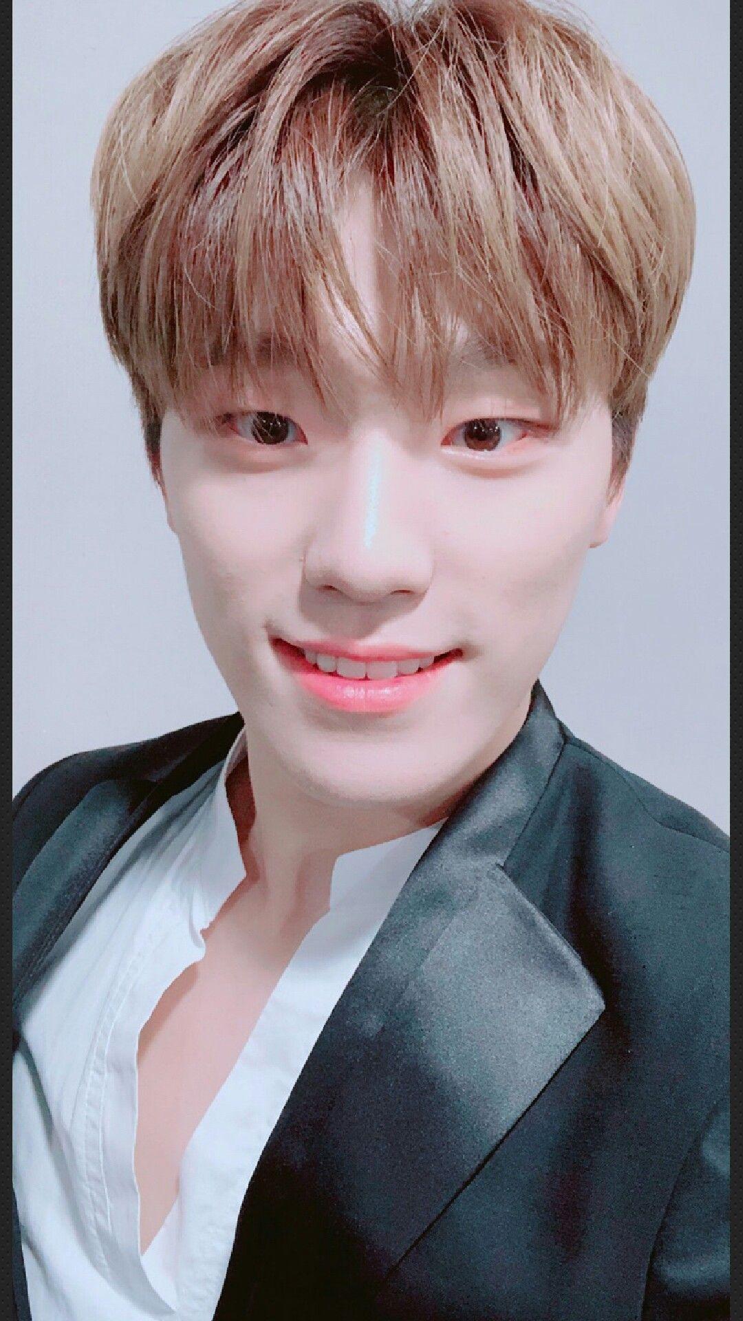 Dino Seventeen Wallpapers Wallpaper Cave