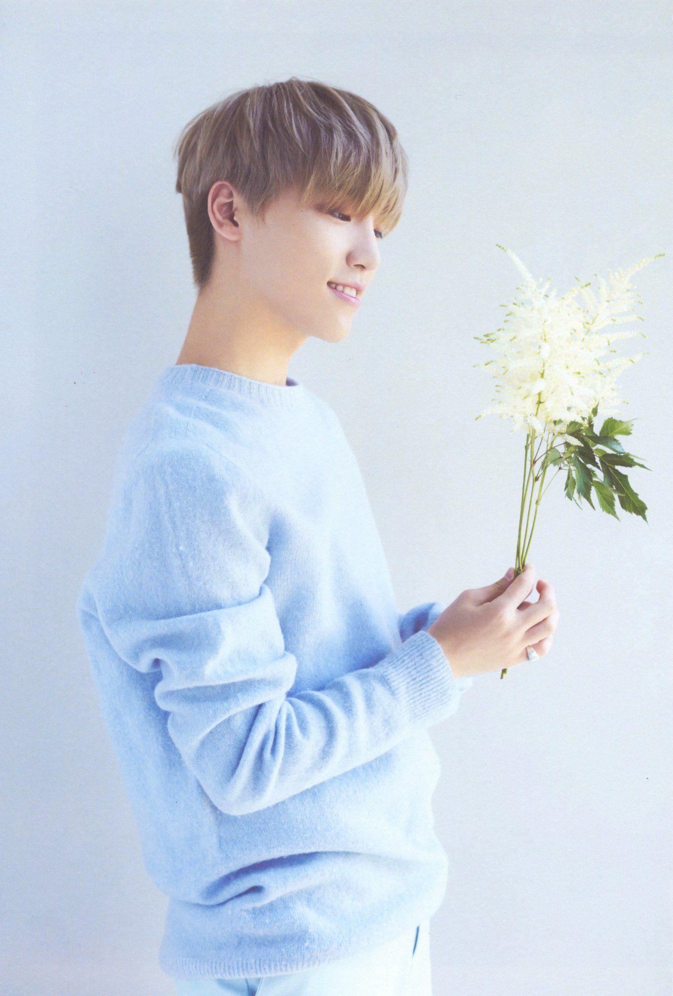 Dino Seventeen Wallpapers Wallpaper Cave