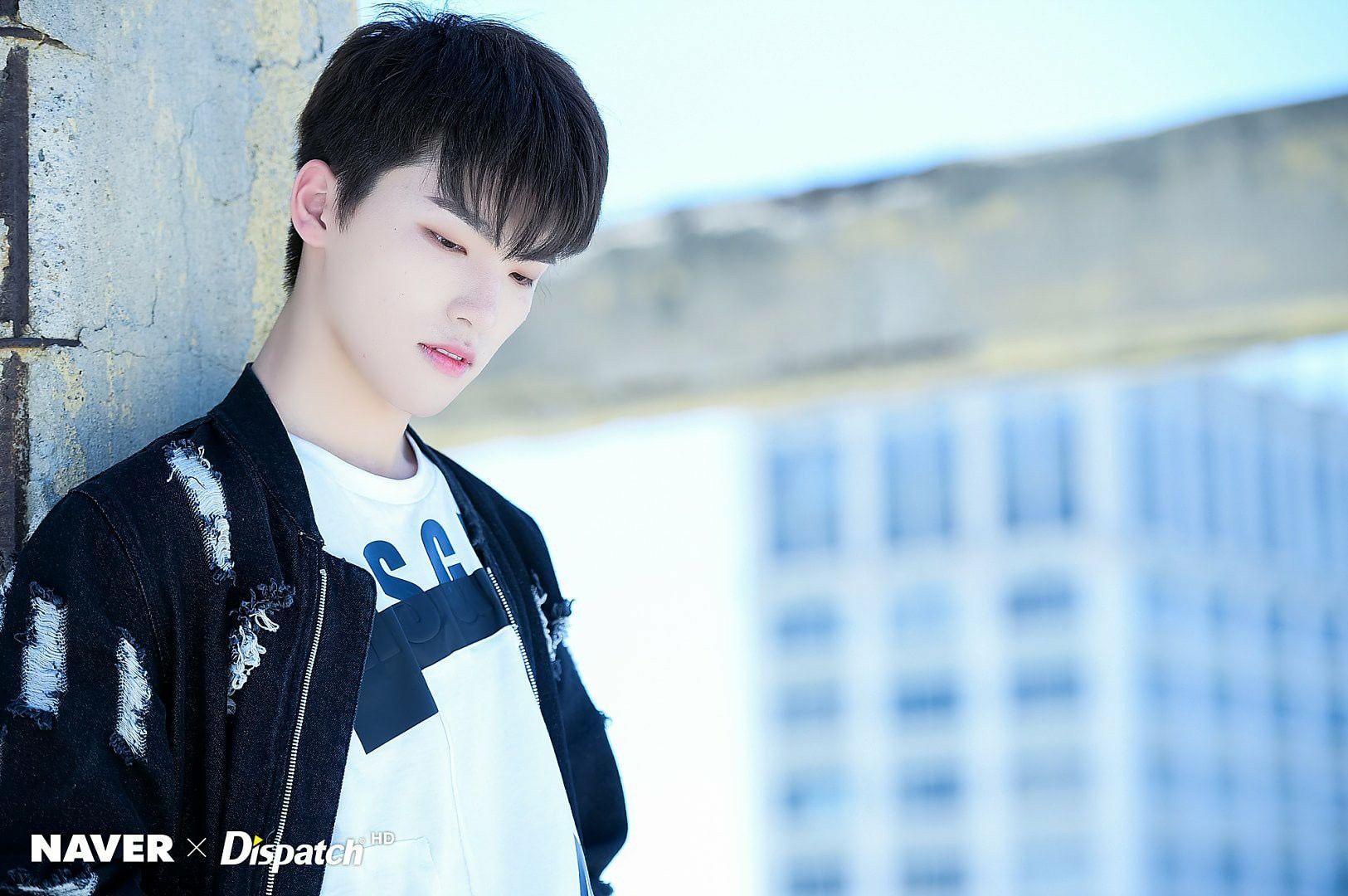 Seventeen Dino Desktop Wallpapers Wallpaper Cave