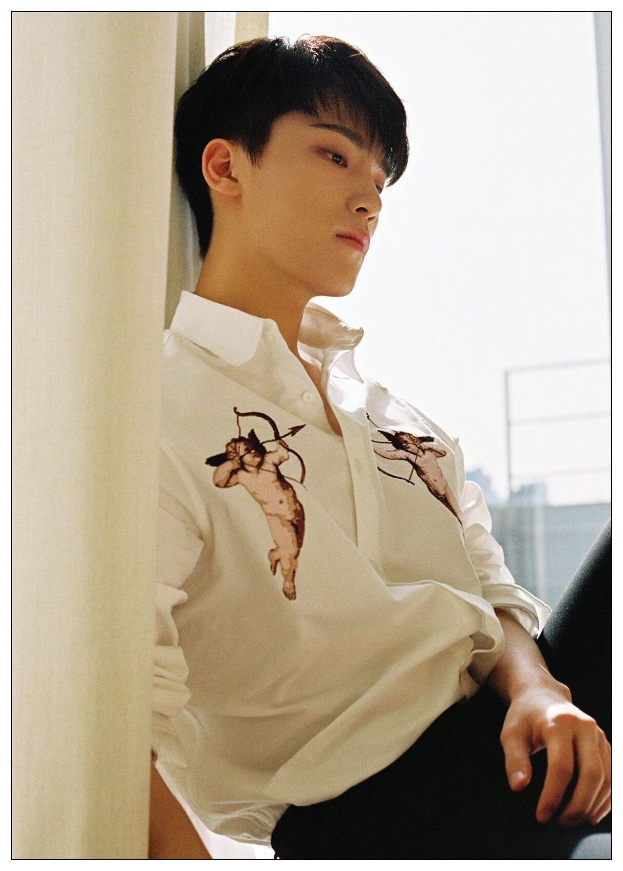 Dino Seventeen Wallpapers Wallpaper Cave