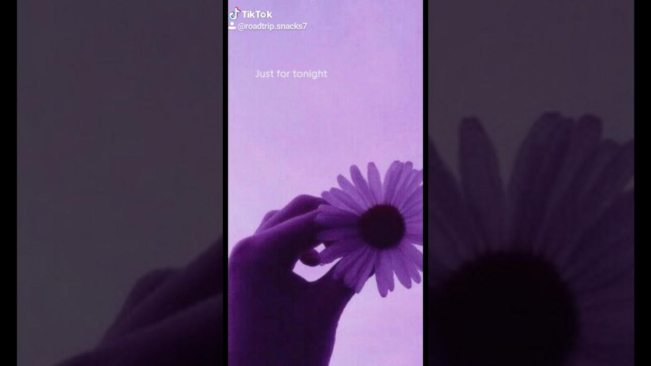 VSCO Purple Wallpapers Wallpaper Cave