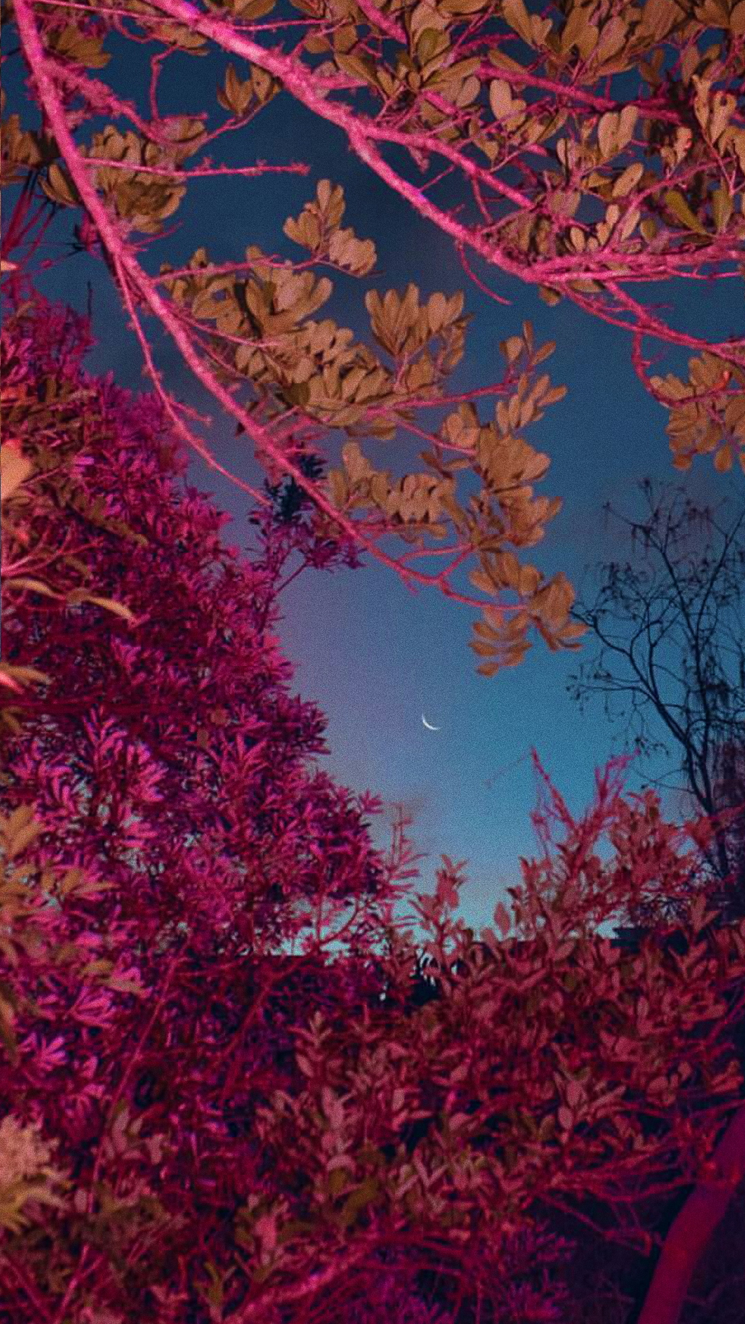 Purple VSCO Wallpapers Wallpaper Cave