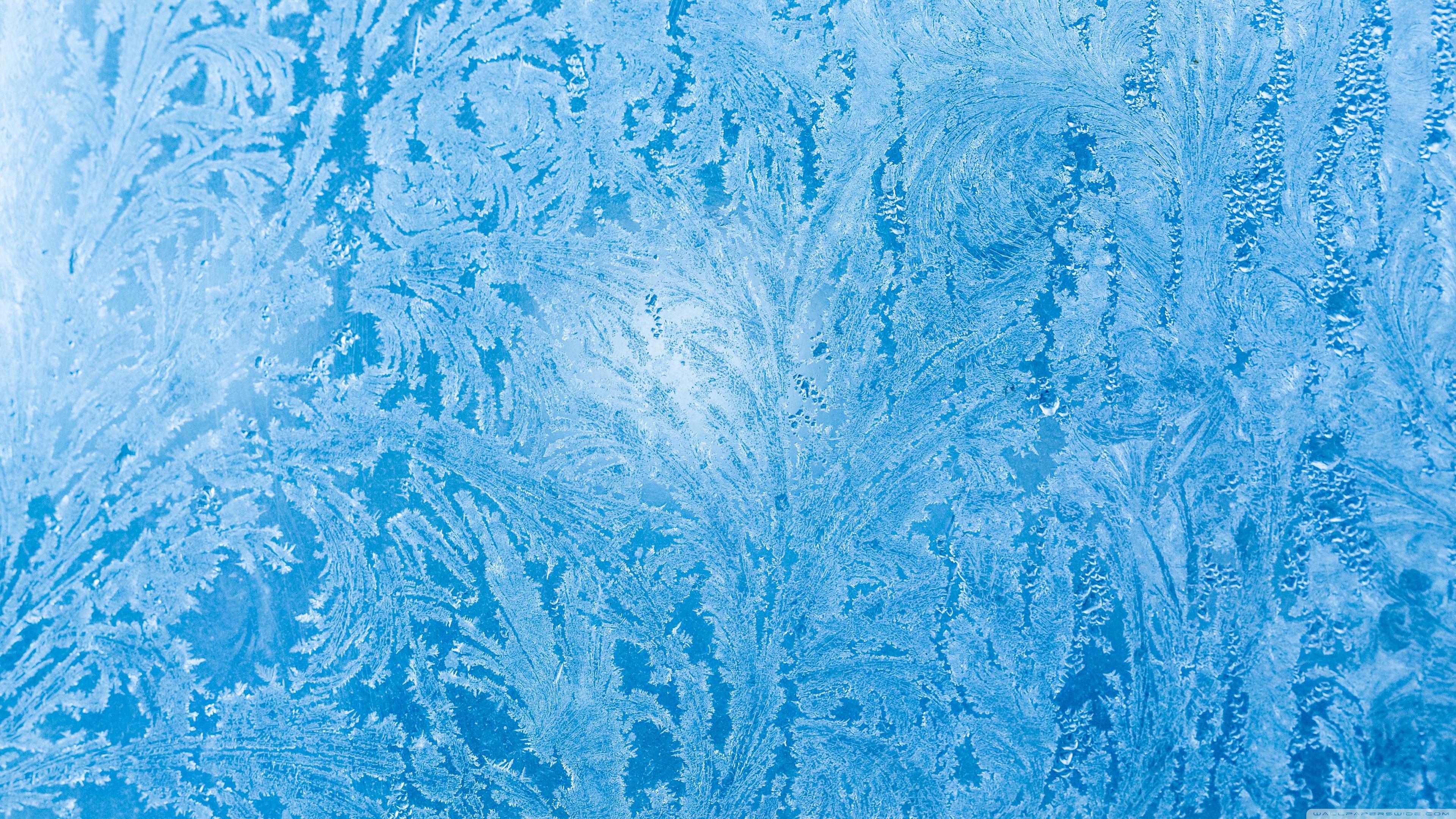 Frozen Ice Flowers Window Glass Wallpapers Wallpaper Cave