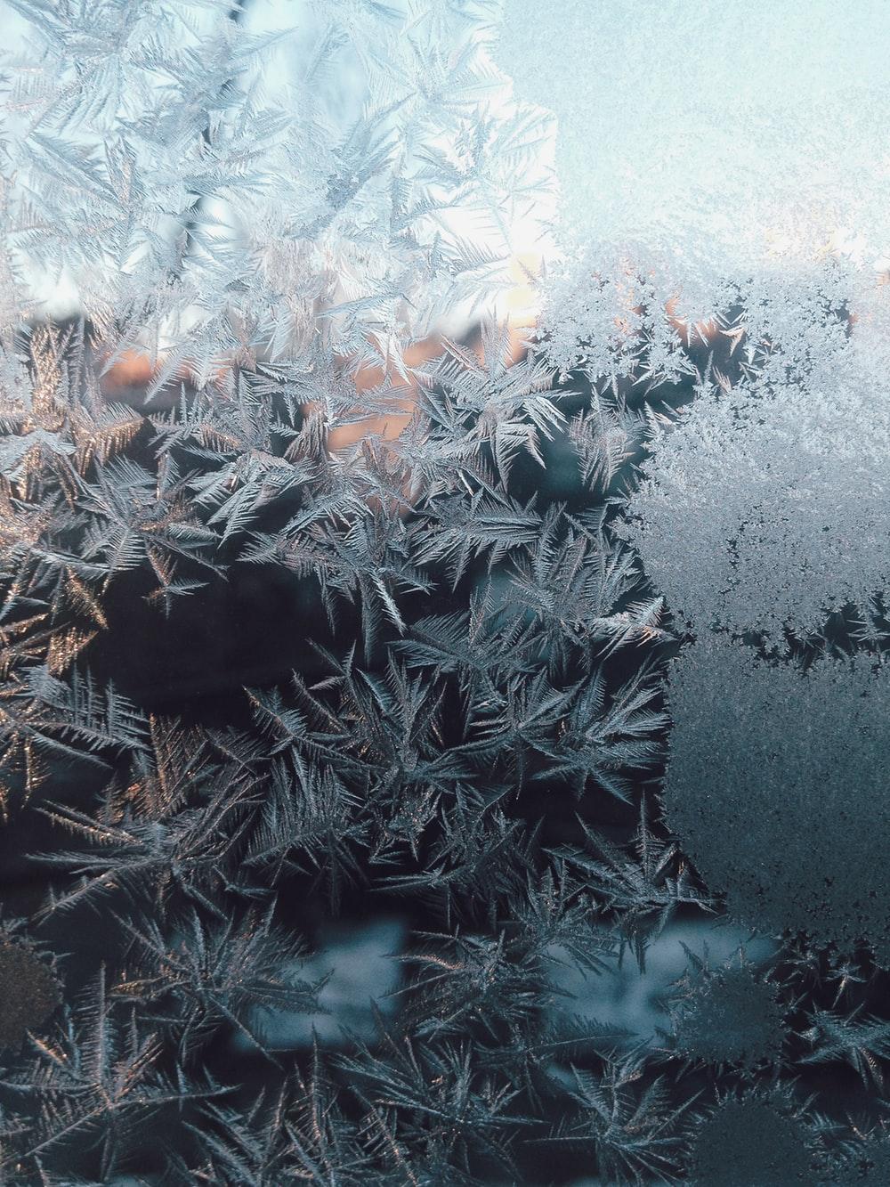 Frozen Ice Flowers Window Glass Wallpapers Wallpaper Cave
