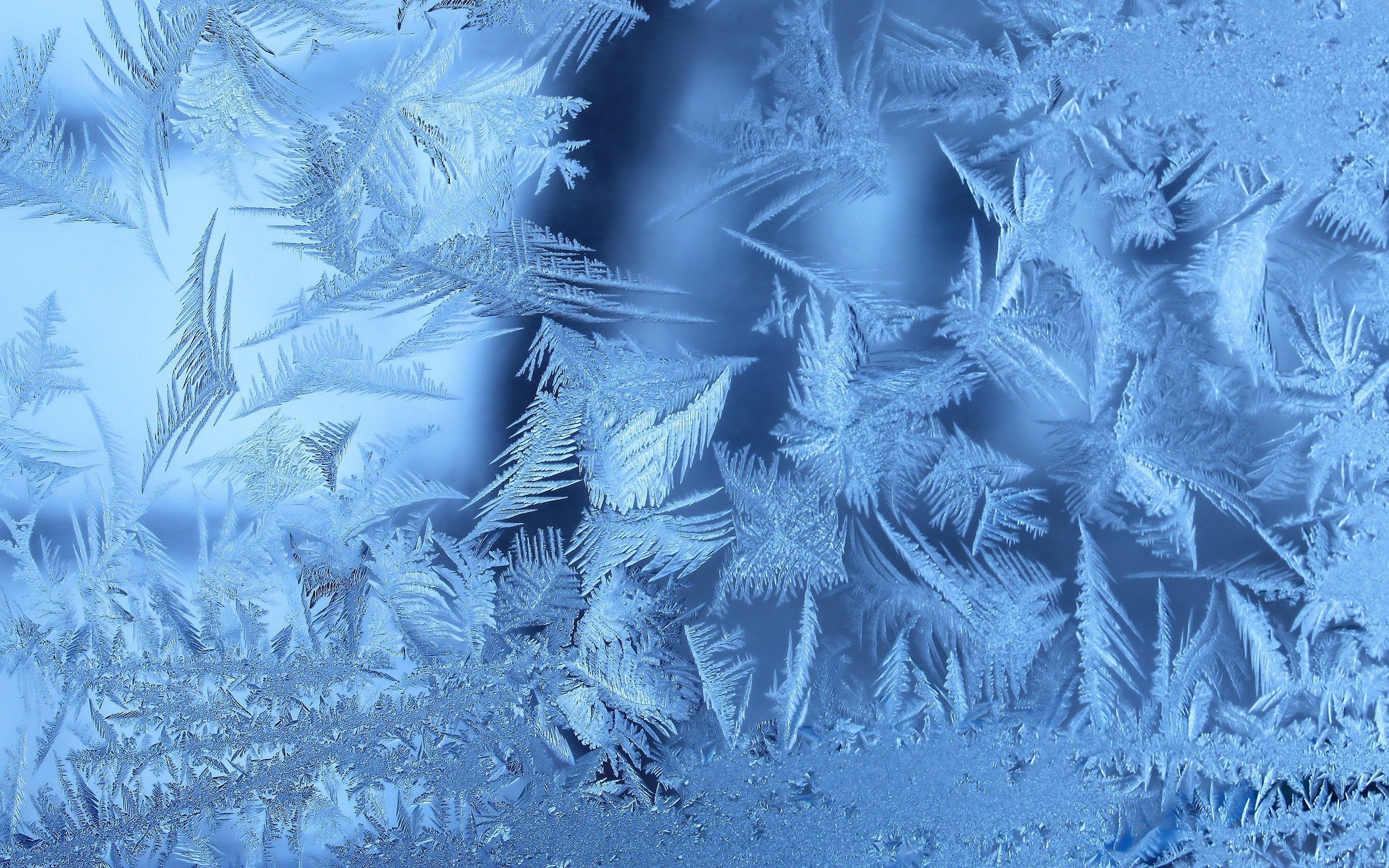 Frozen Ice Flowers Window Glass Wallpapers Wallpaper Cave