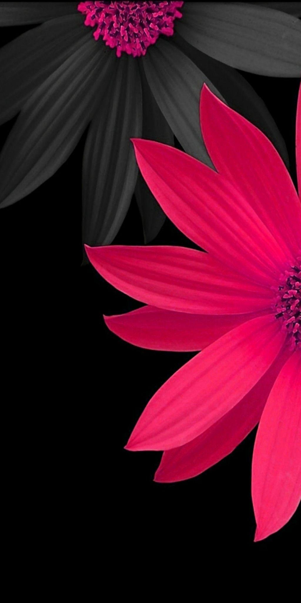 3d Flower Mobile Wallpapers Wallpaper Cave