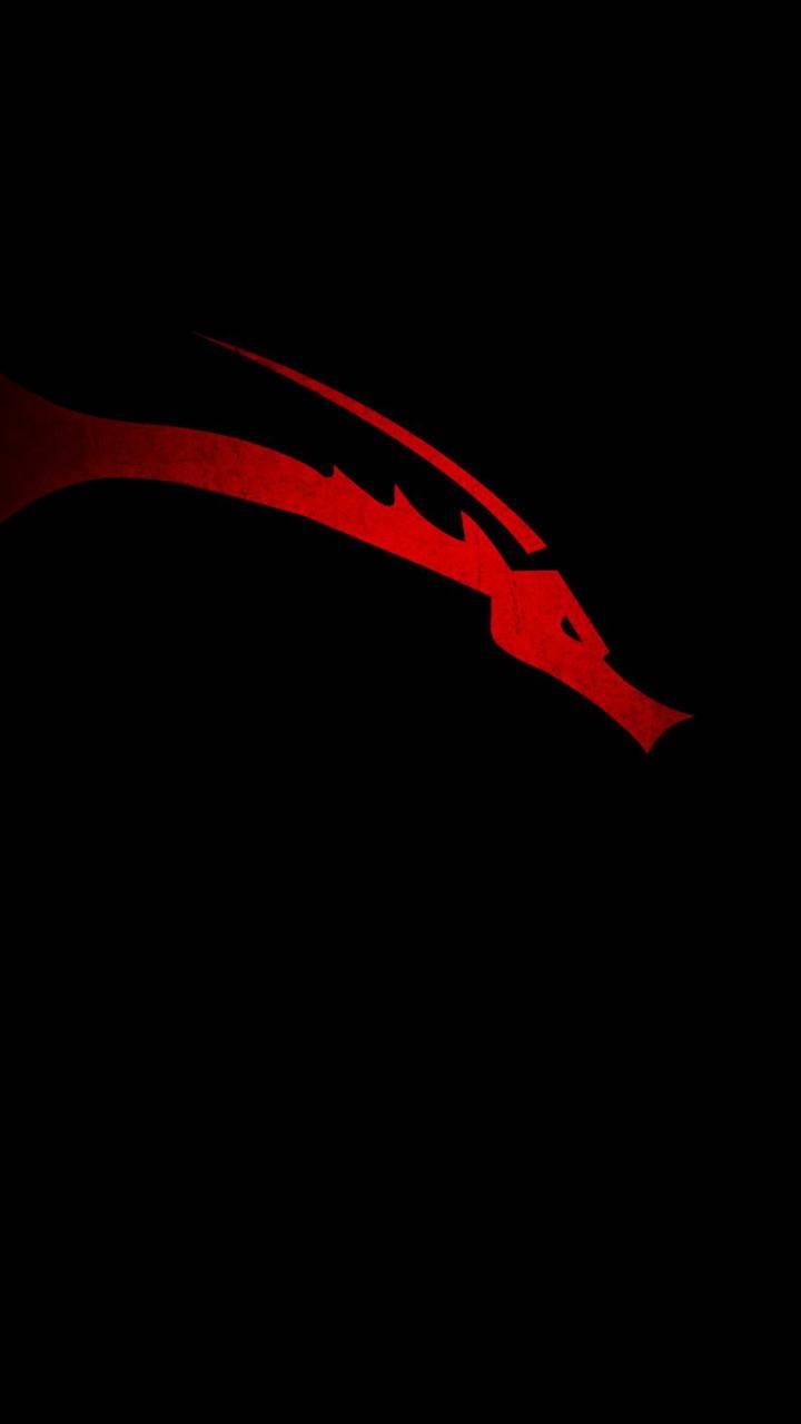 Kali Linux Android Wallpapers Wallpaper Cave AB9