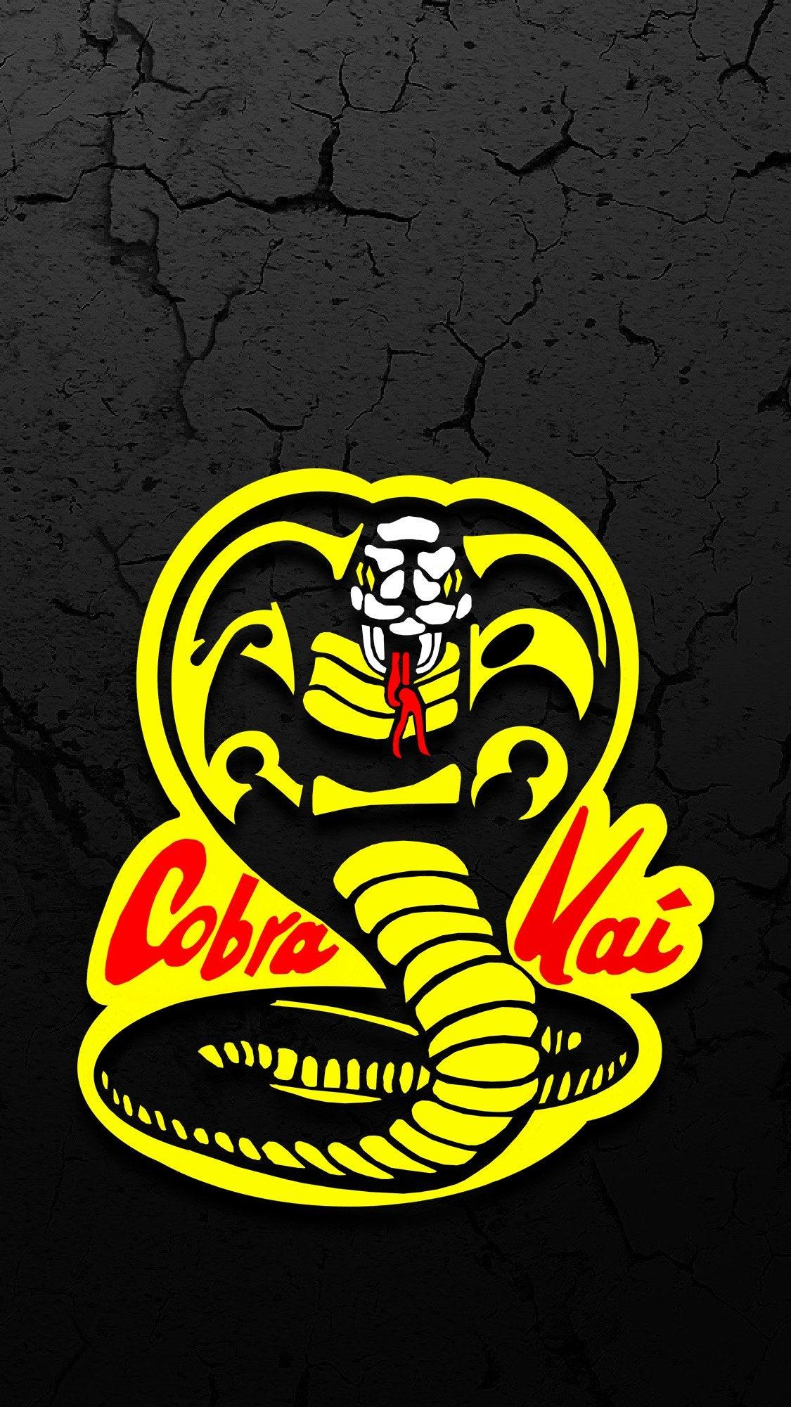 Cobra Kai Season 2 Wallpapers Wallpaper Cave
