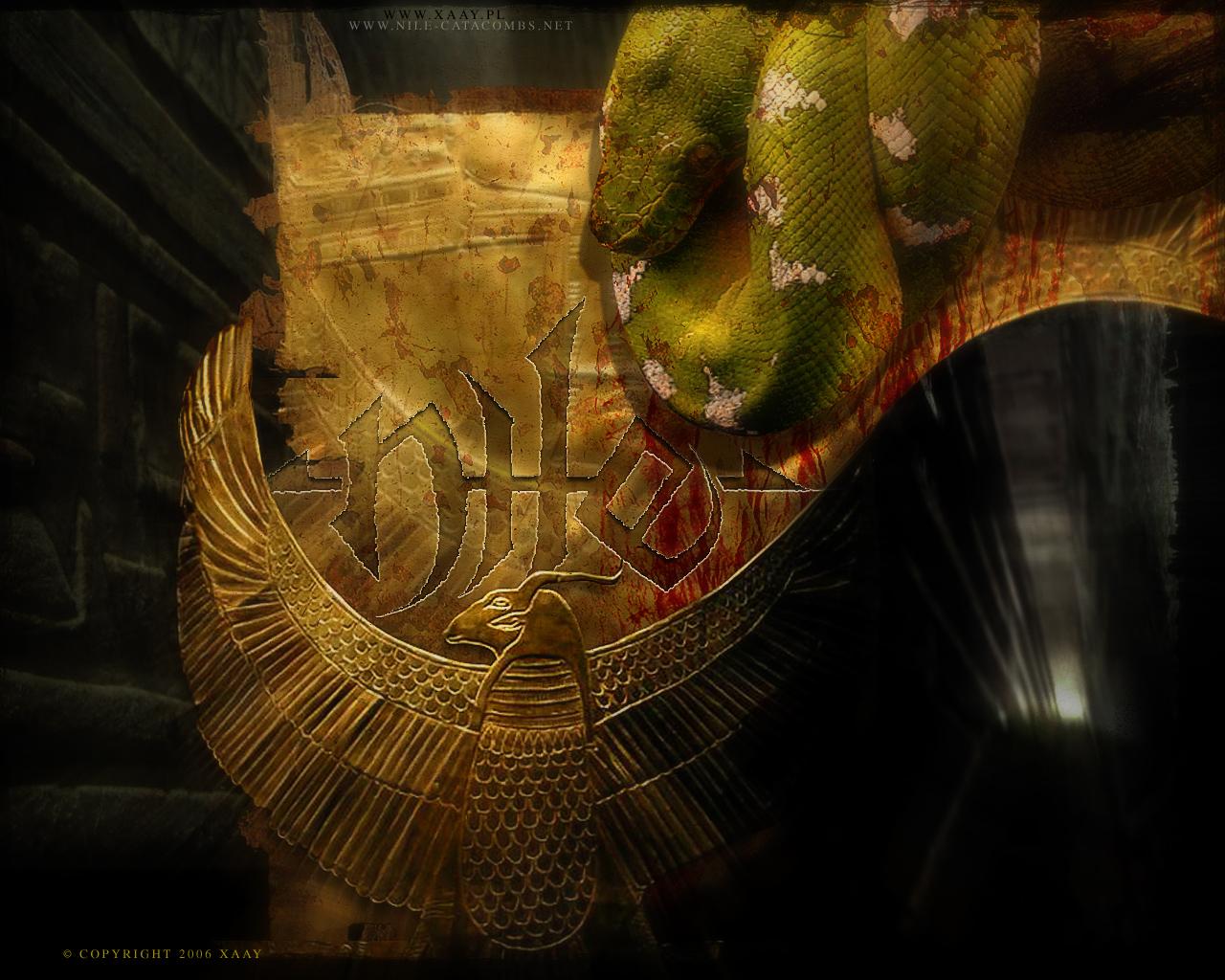 Nile Band Wallpapers Wallpaper Cave