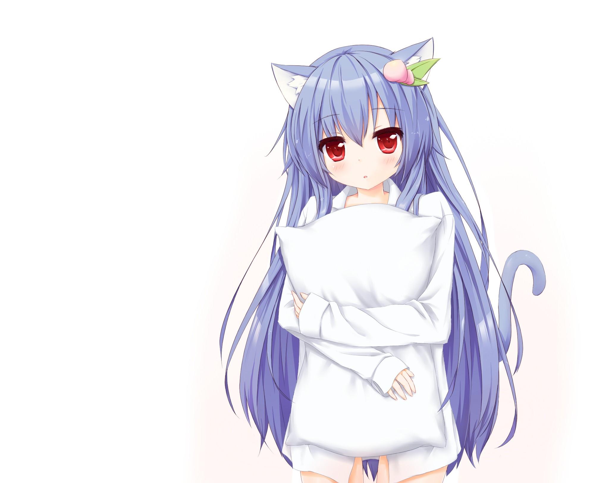 Blue Haired Anime Cat Girl Wallpapers Wallpaper Cave