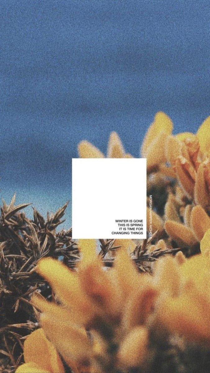 Pastel Orange Aesthetic Wallpapers Wallpaper Cave