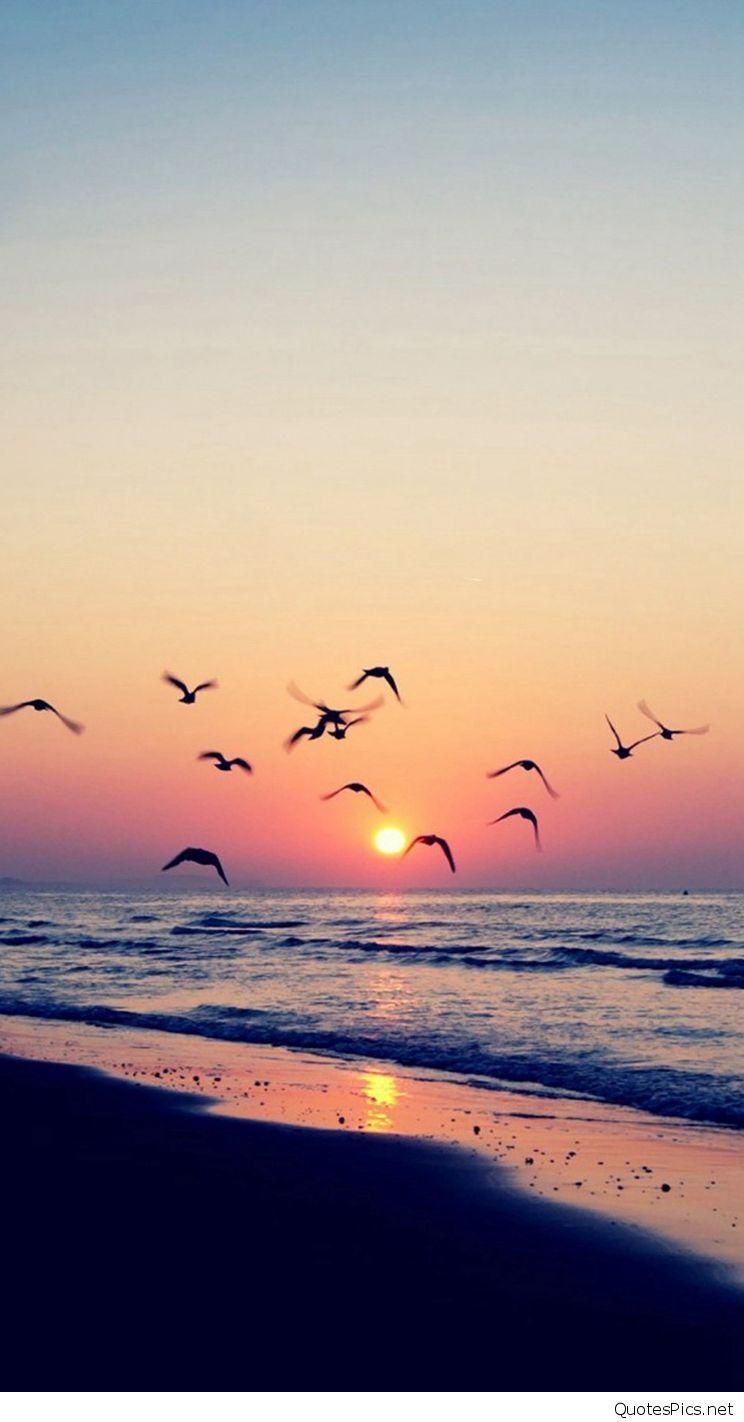 Mobile Beach Hd Wallpapers Wallpaper Cave