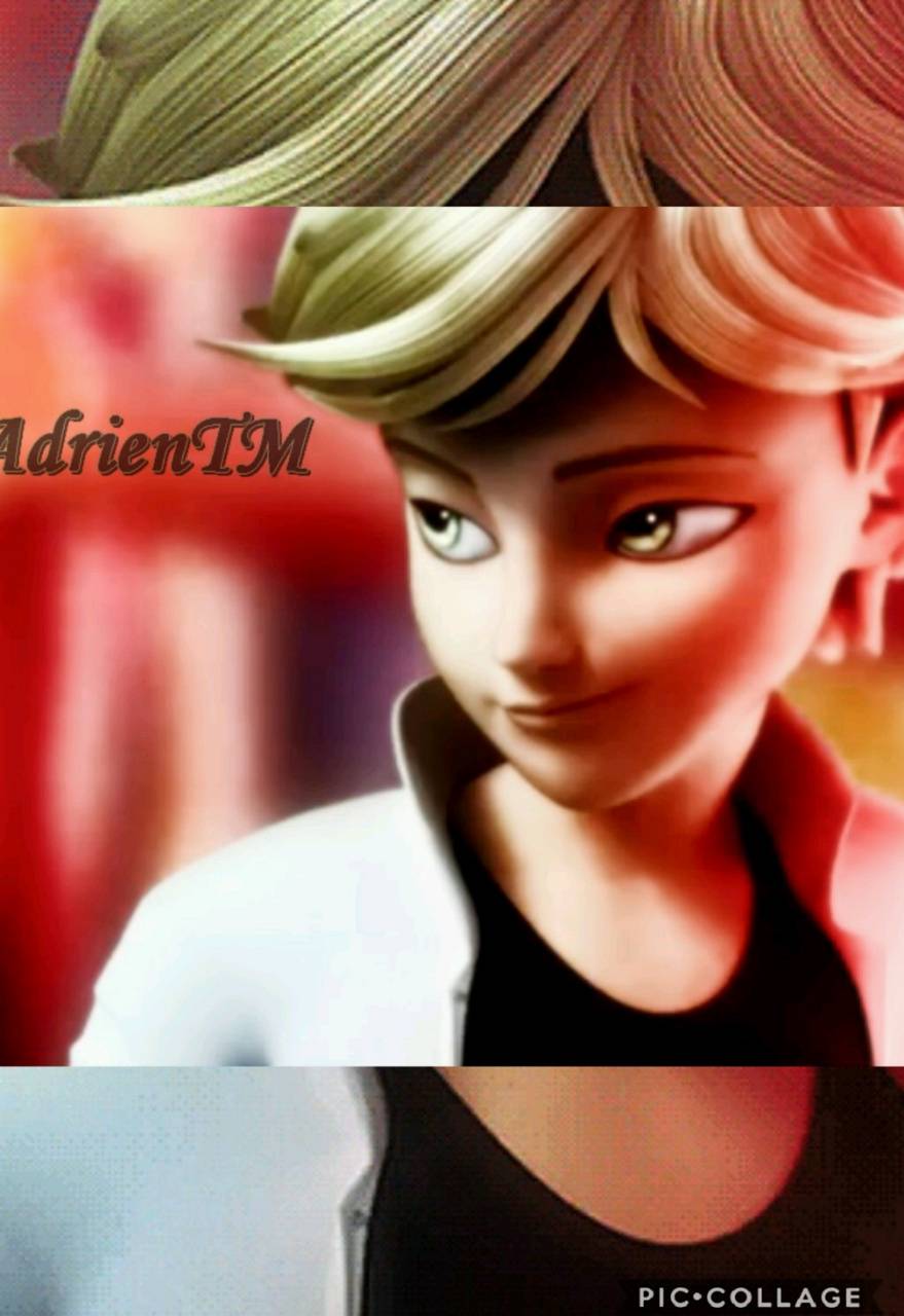 Adrien Agreste Wallpapers Wallpaper Cave